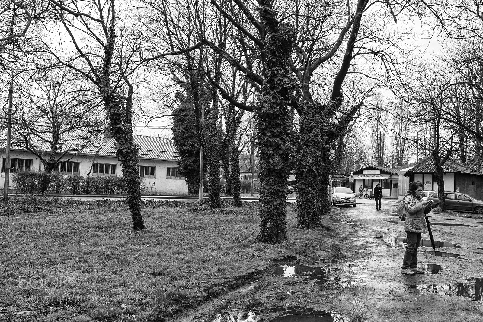 Nikon D610 sample photo. V photography