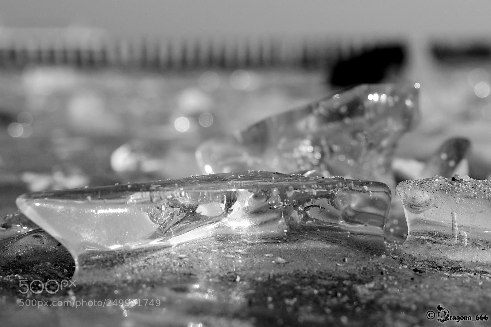 Canon EOS 650D (EOS Rebel T4i / EOS Kiss X6i) sample photo. Freaking cold photography