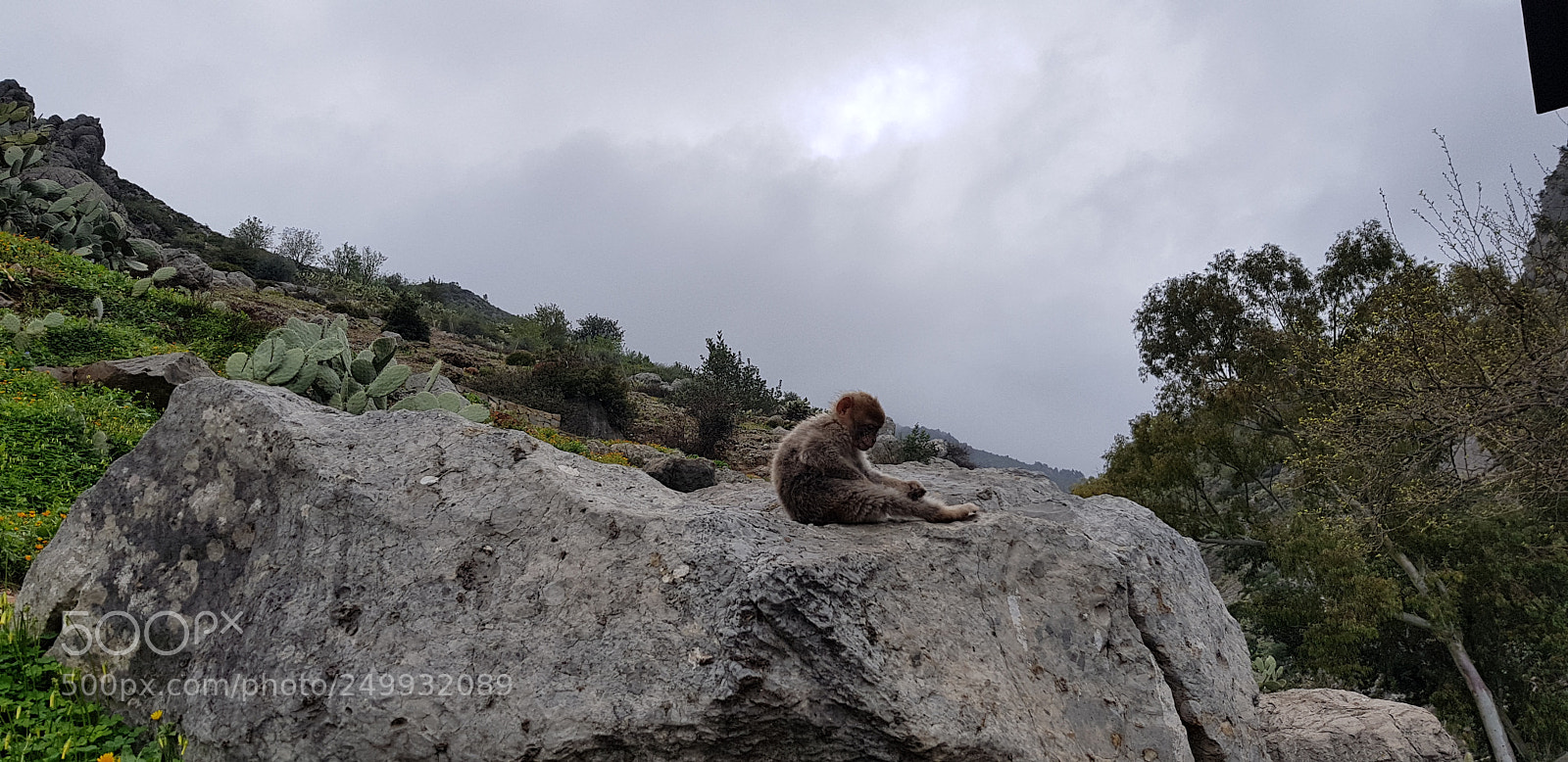 Samsung Galaxy S8 sample photo. Untitled photography