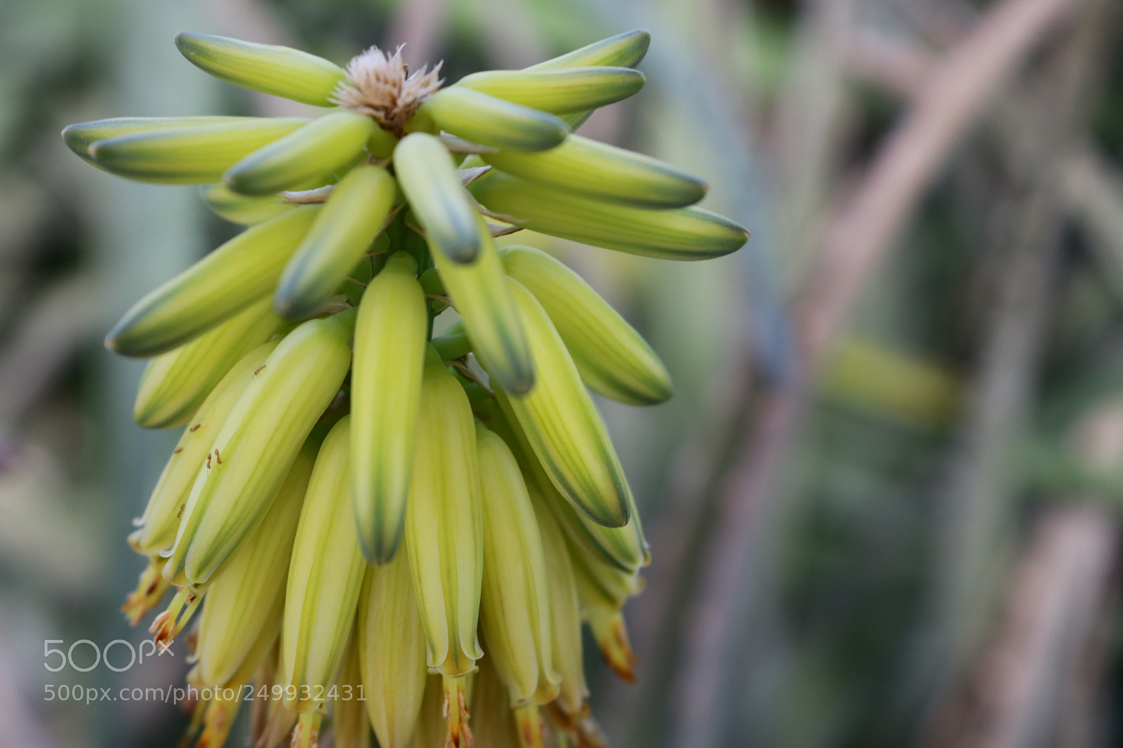 Canon EOS 750D (EOS Rebel T6i / EOS Kiss X8i) sample photo. Untitled photography