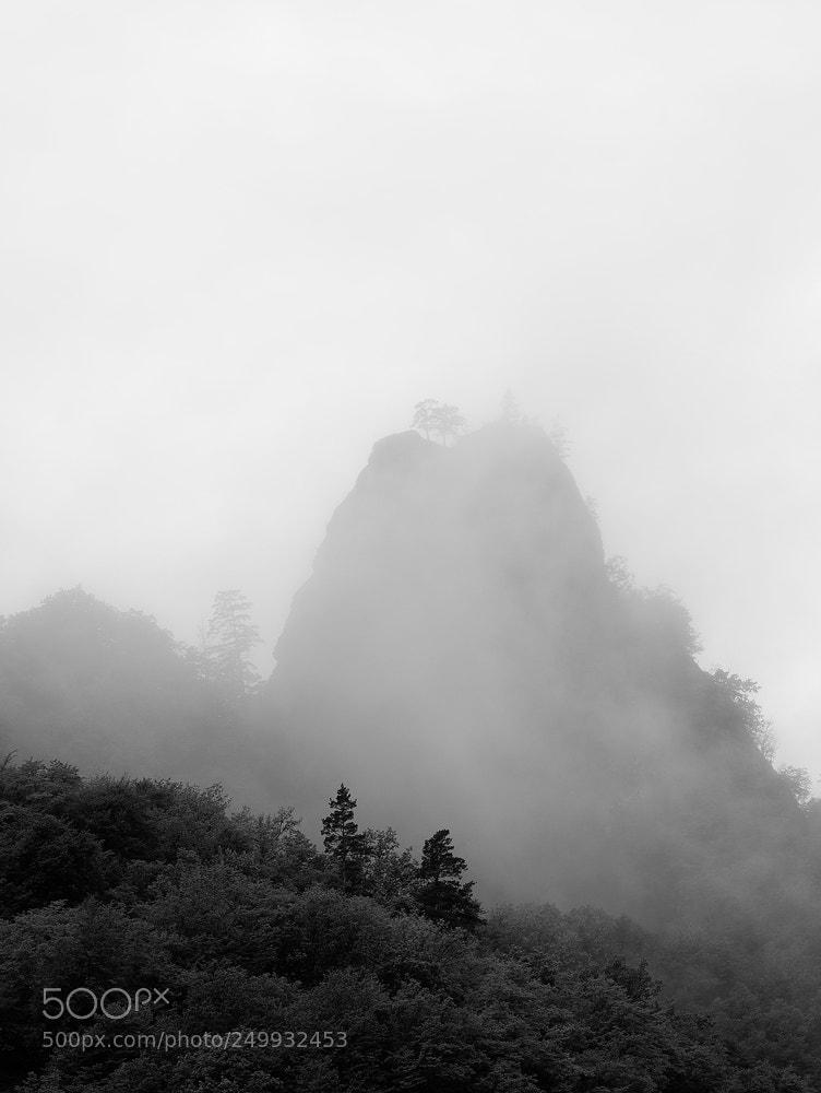 Nikon D800 sample photo. We only dream about photography