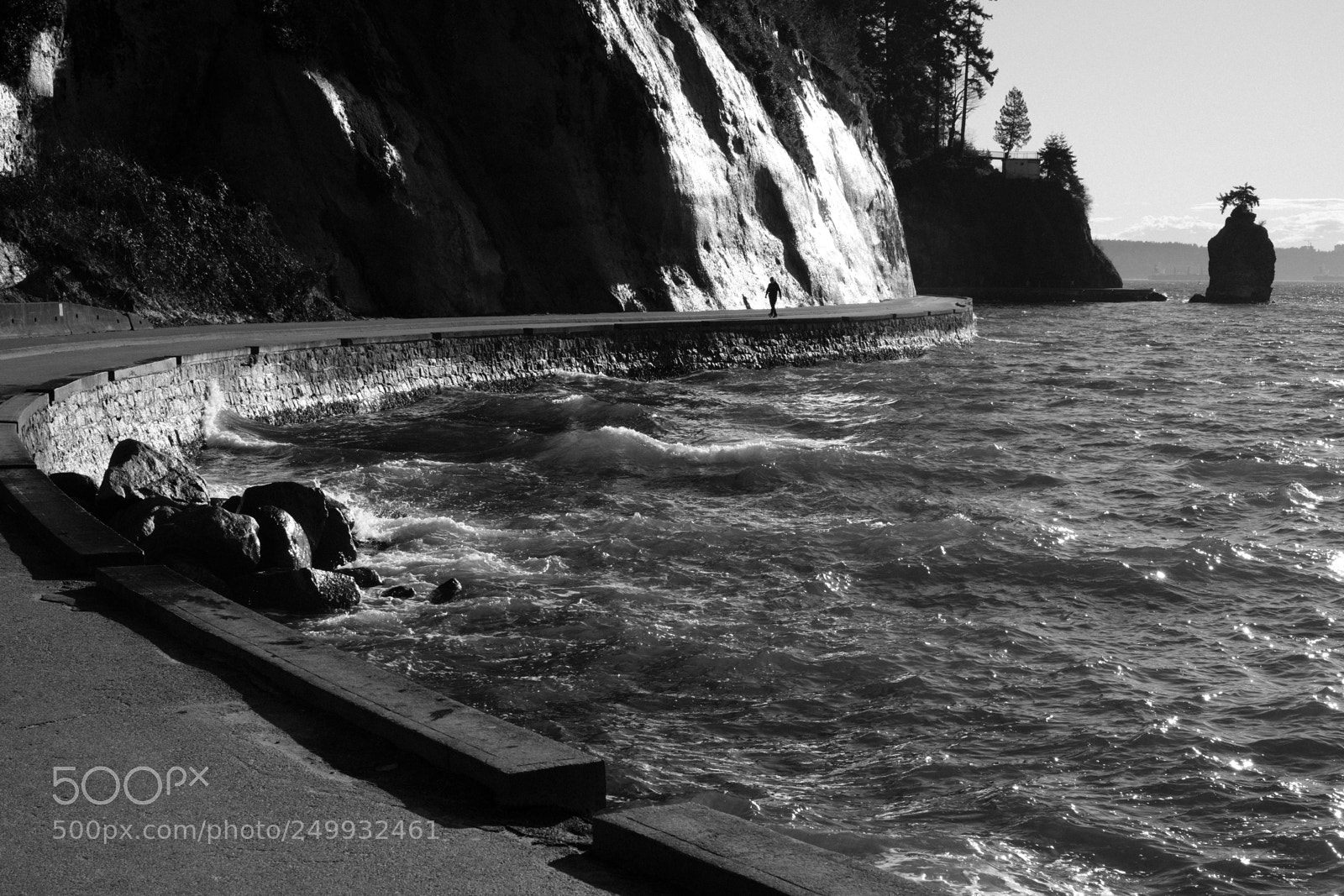 Fujifilm X-H1 sample photo. Stanley park seawall, vancouver photography