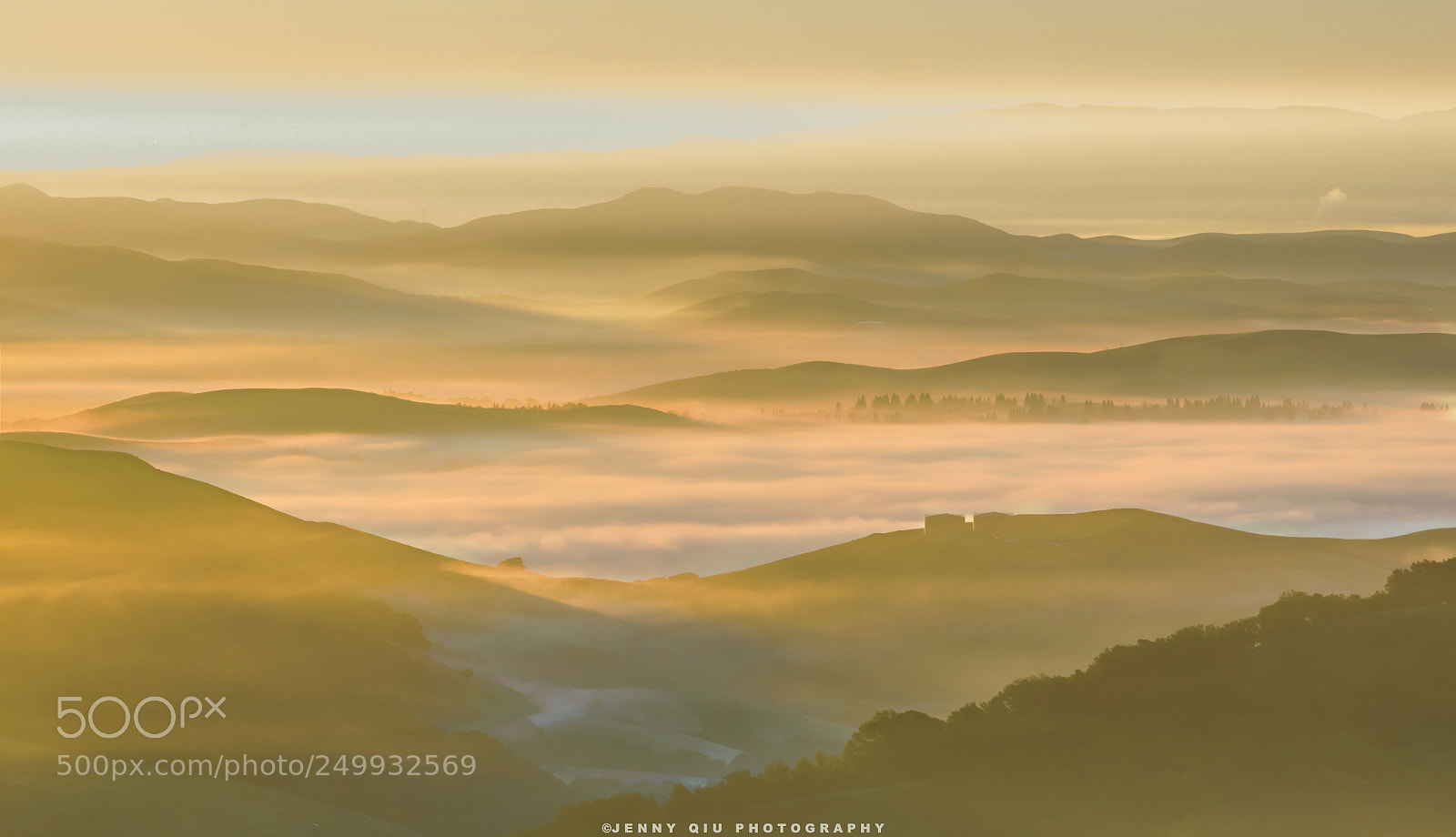 Canon EOS 5D Mark IV sample photo. Morning mist photography