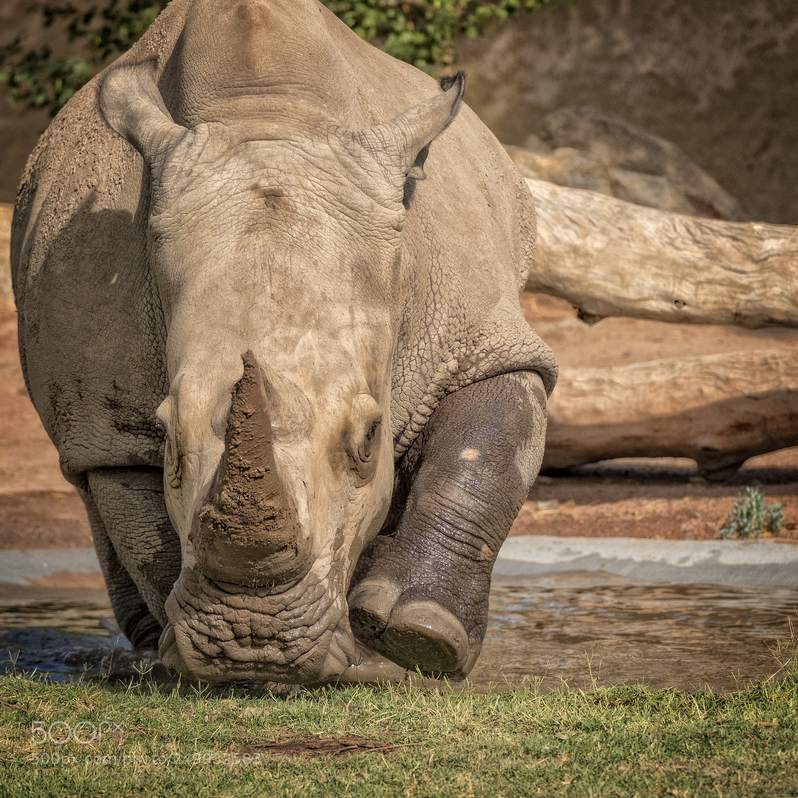 Fujifilm X-T2 sample photo. Zoo photography