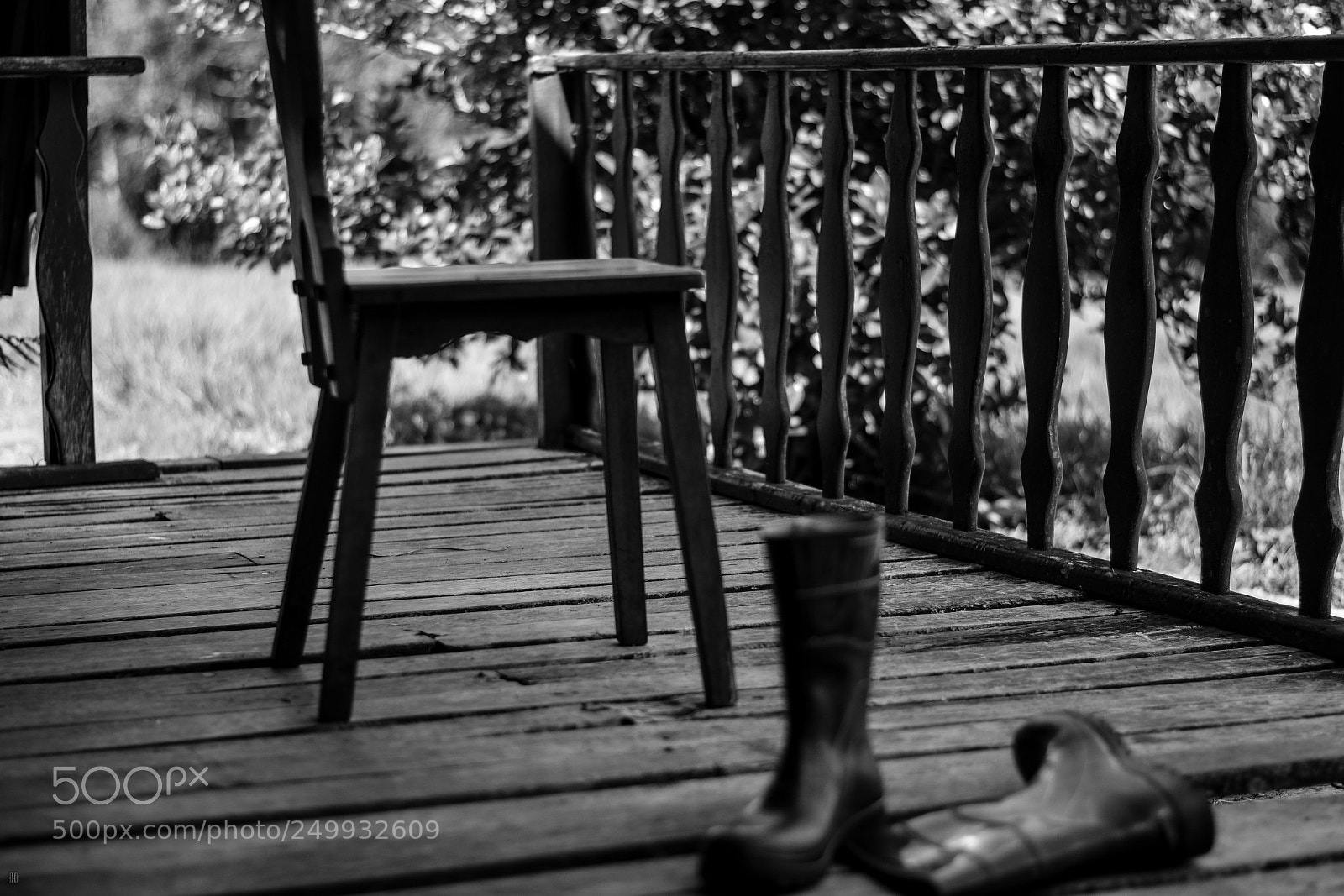 Nikon D5300 sample photo. Poetry in field research photography