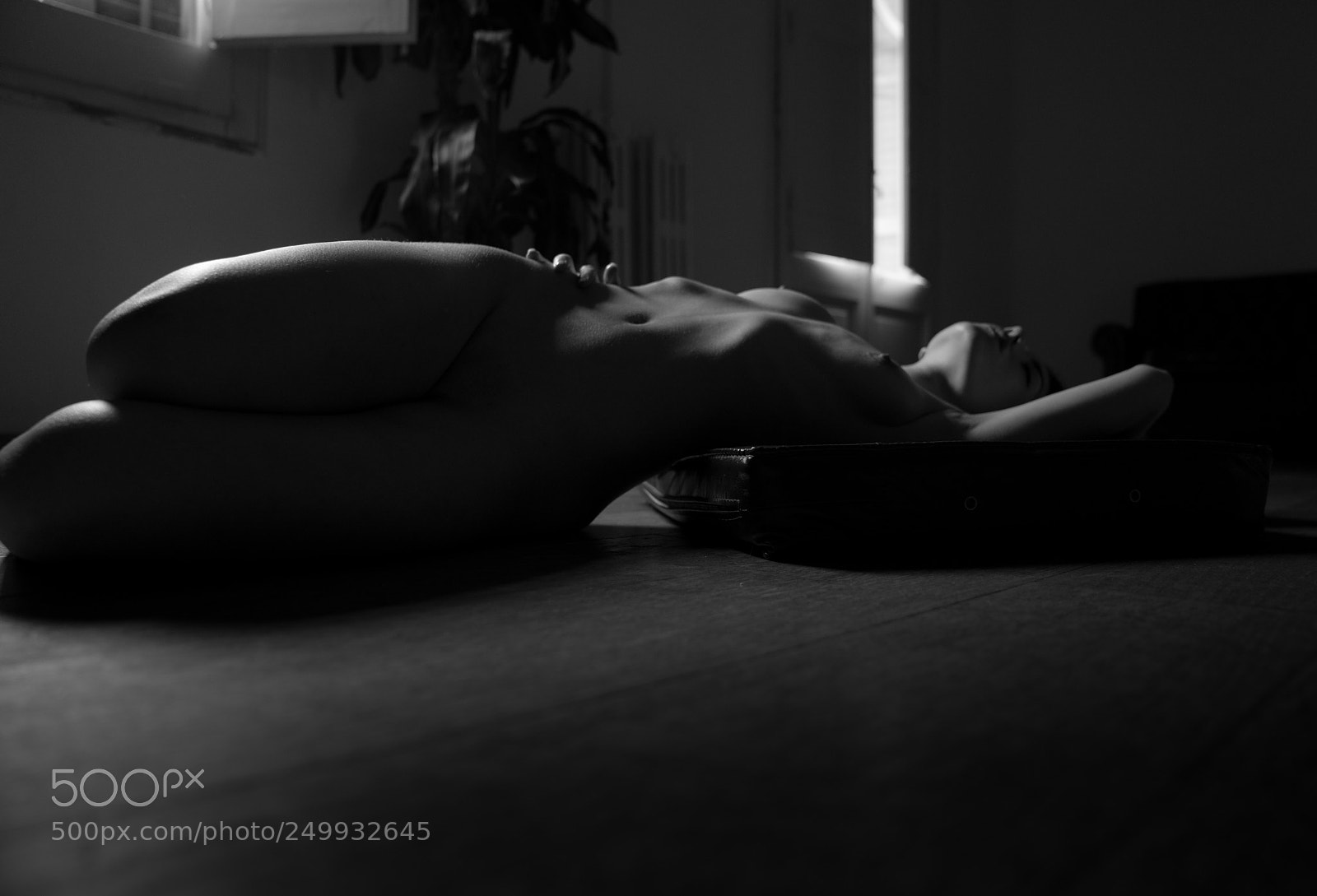 Sony a7R II sample photo. Dsc photography