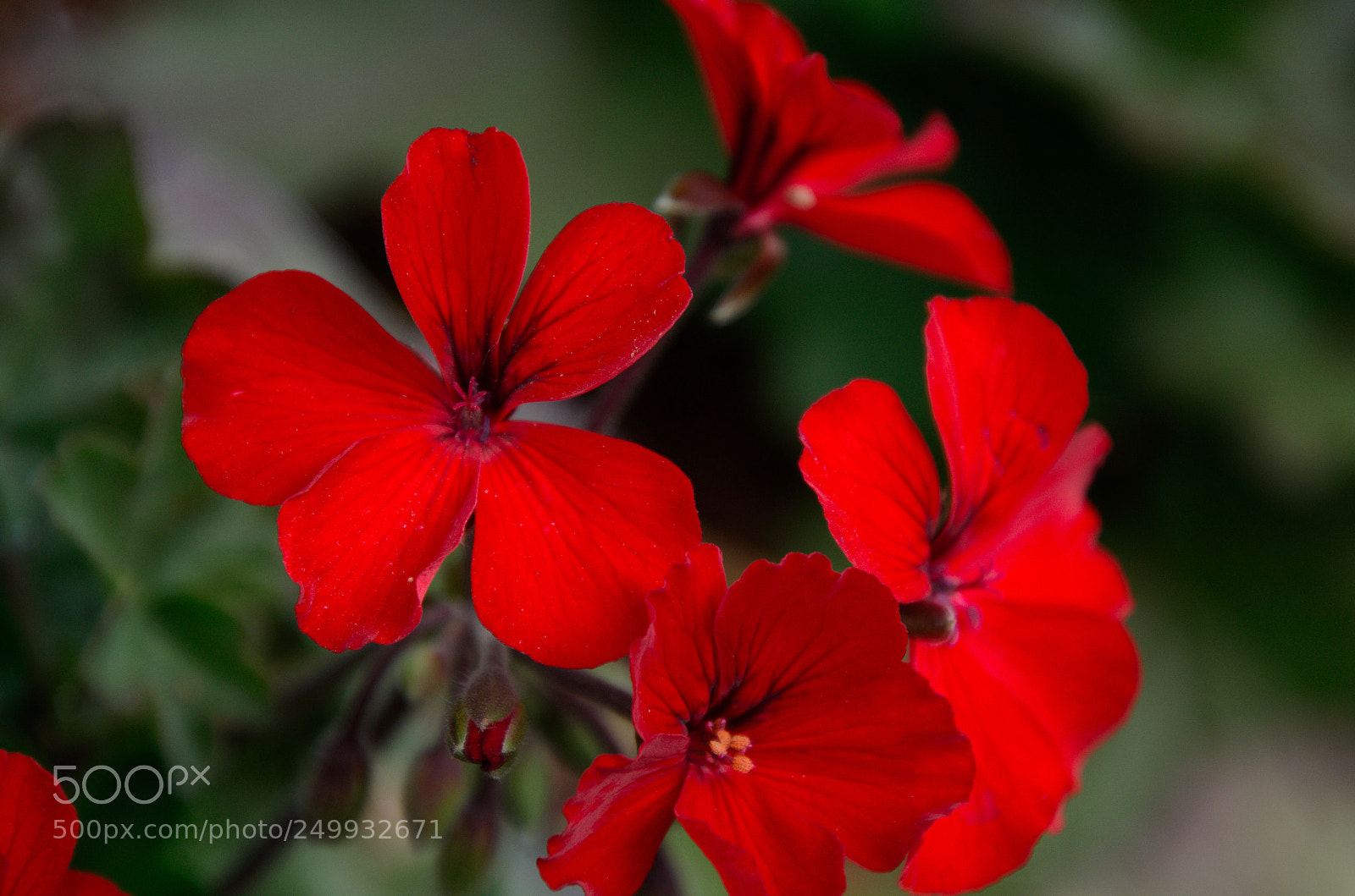 Nikon D5100 sample photo. Untitled photography