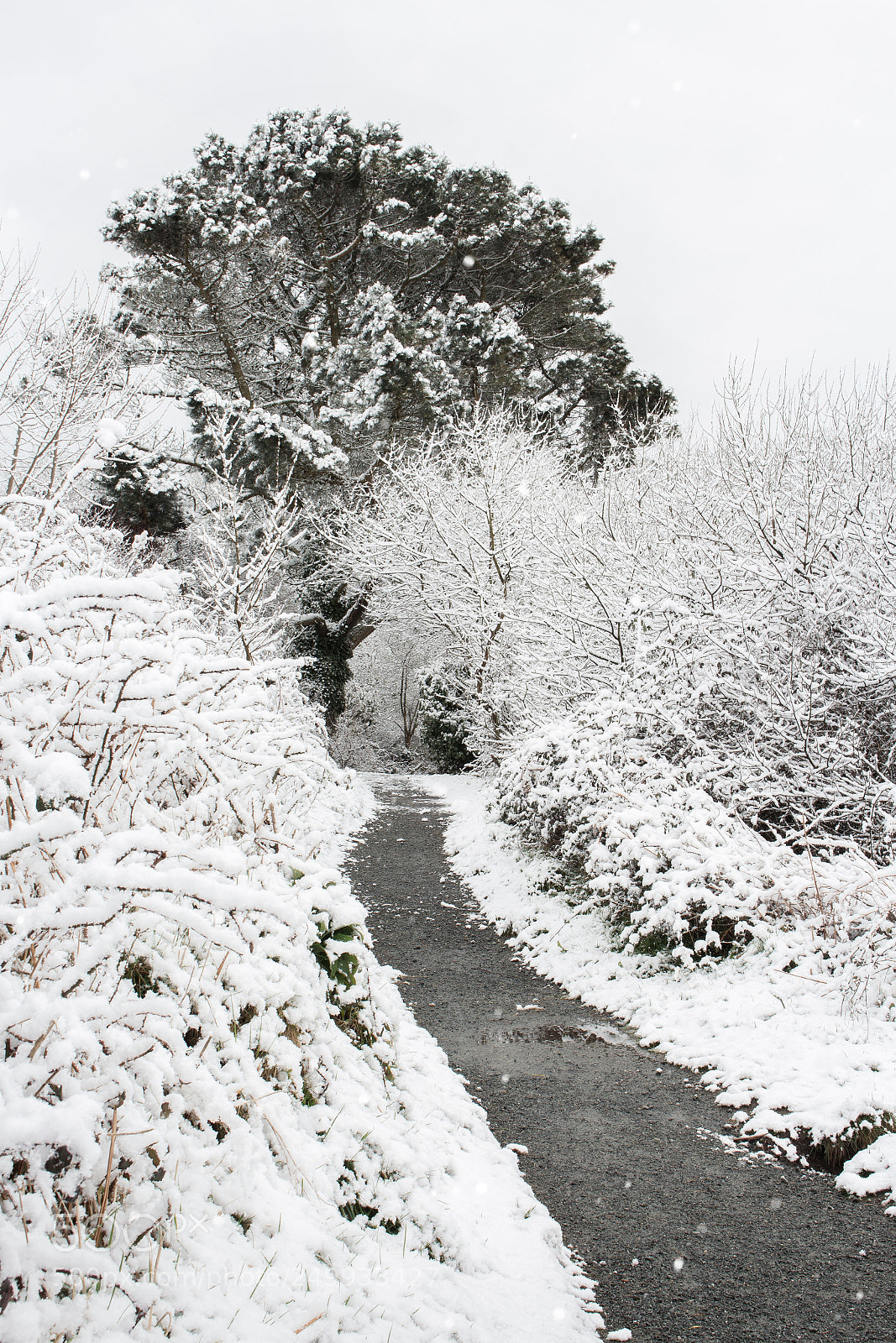Canon EOS 700D (EOS Rebel T5i / EOS Kiss X7i) sample photo. Argal winter wonderland photography