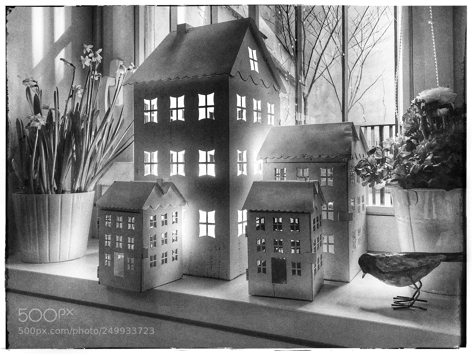 Apple iPhone 7 sample photo. House lights photography