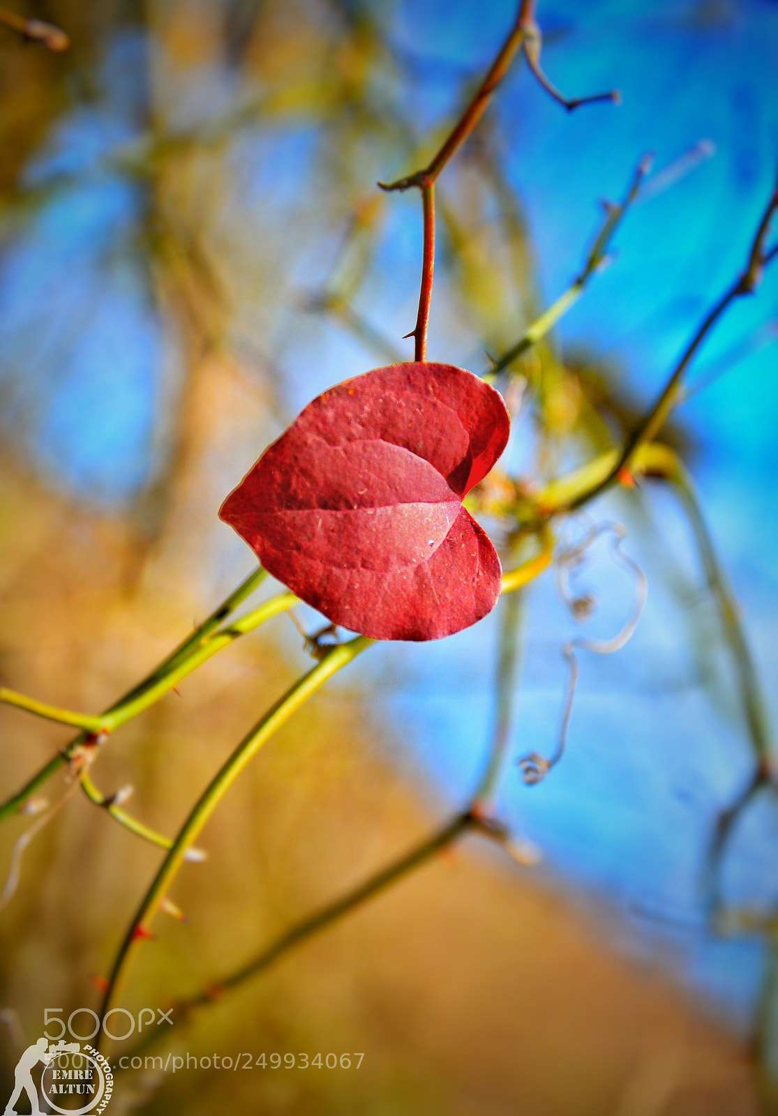 Nikon D5100 sample photo. Untitled photography