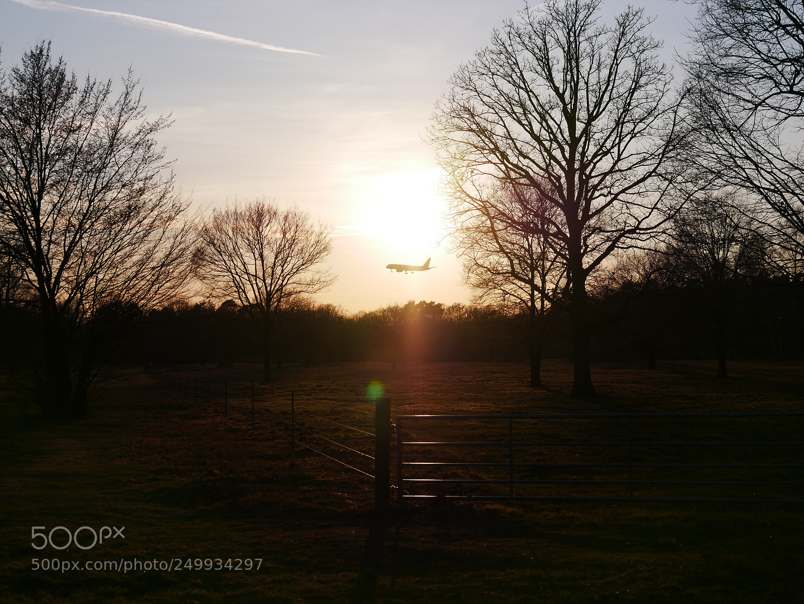 Panasonic DMC-G81 sample photo. Sunset cologne heathland photography