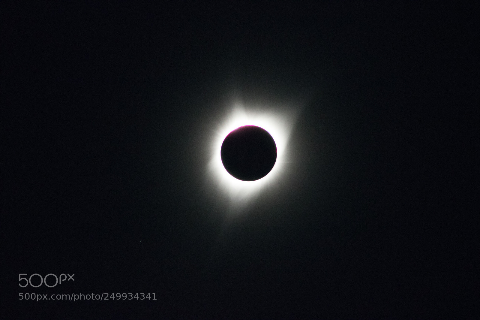 Canon EOS 760D (EOS Rebel T6s / EOS 8000D) sample photo. The great american eclipse photography