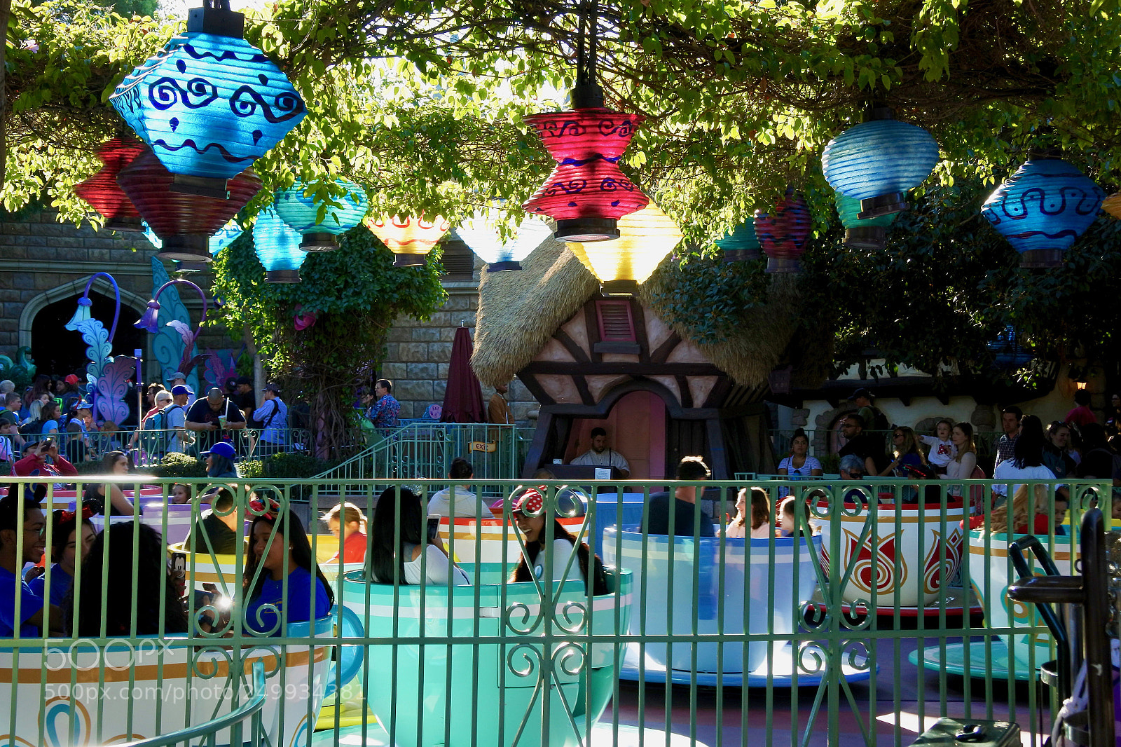Nikon 1 J5 sample photo. Mad tea party photography