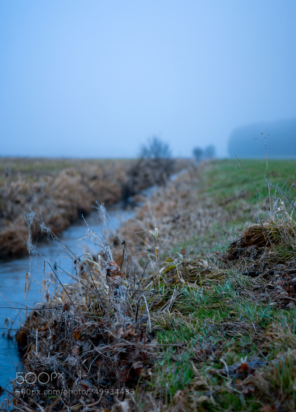 Pentax K-3 II sample photo. Stream photography