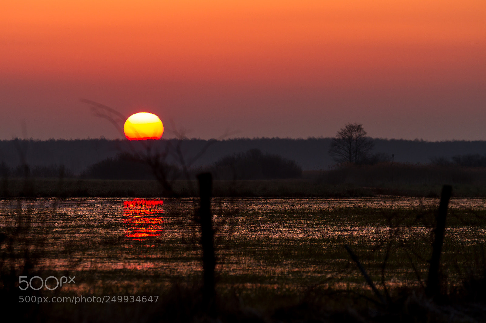Canon EOS 7D sample photo. Backwaters photography