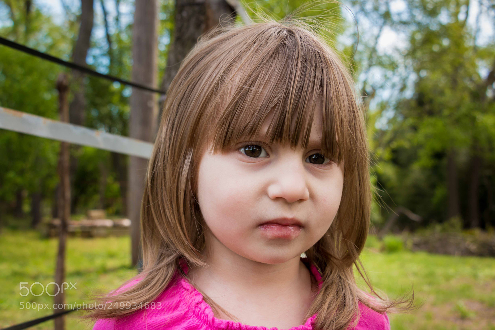 Canon EOS 70D sample photo. Out in nature photography