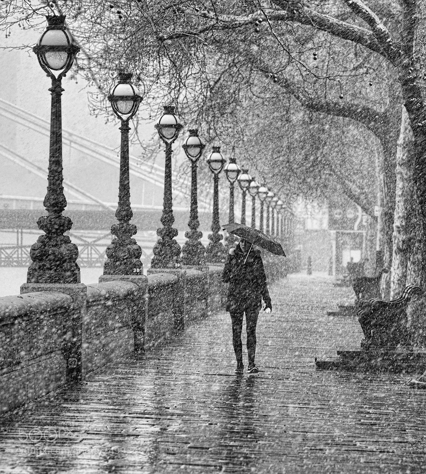 Canon EOS 5D Mark IV sample photo. White out 1 photography