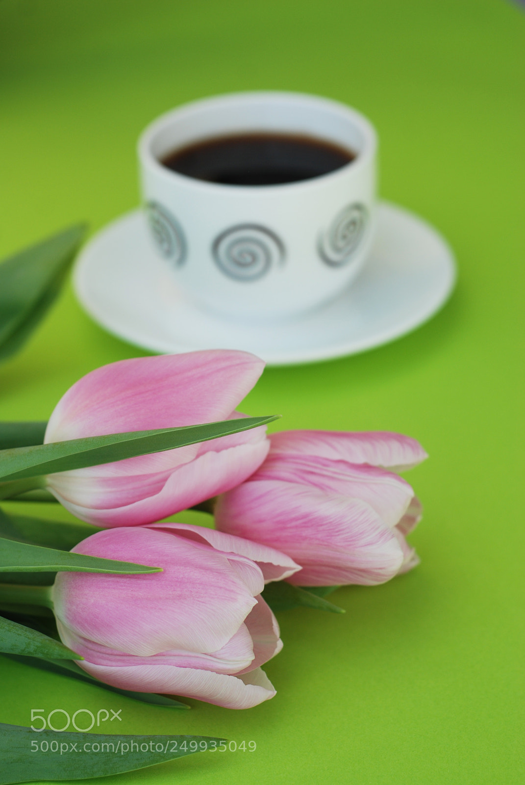 Nikon D80 sample photo. Pink spring tulips over photography