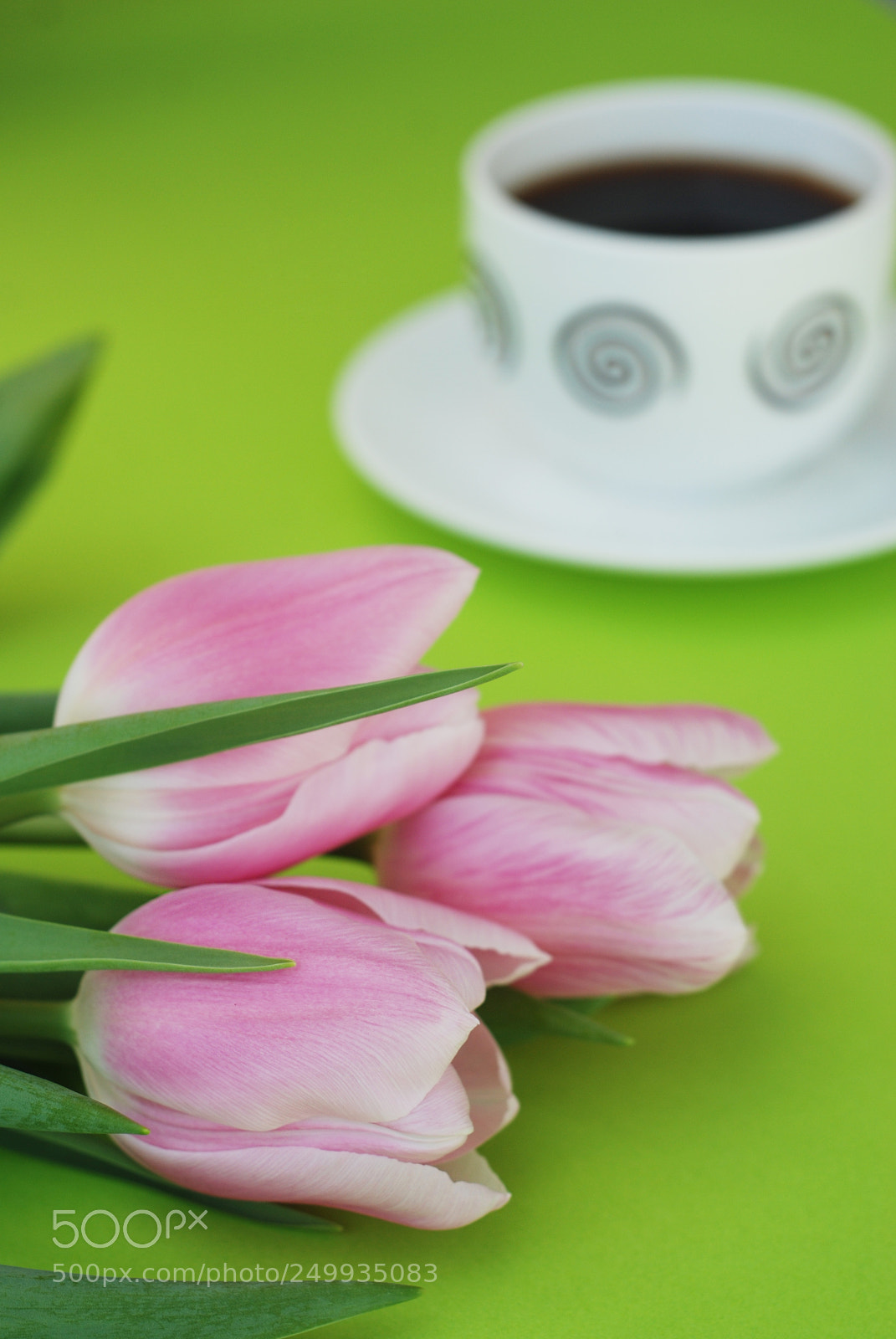 Nikon D80 sample photo. Pink spring tulips over photography