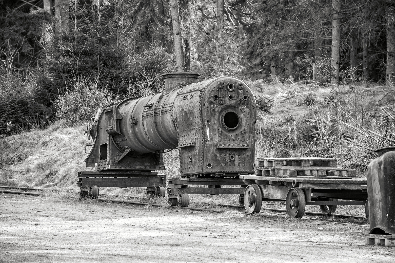 Nikon D5600 sample photo. Abandoned train kettle photography