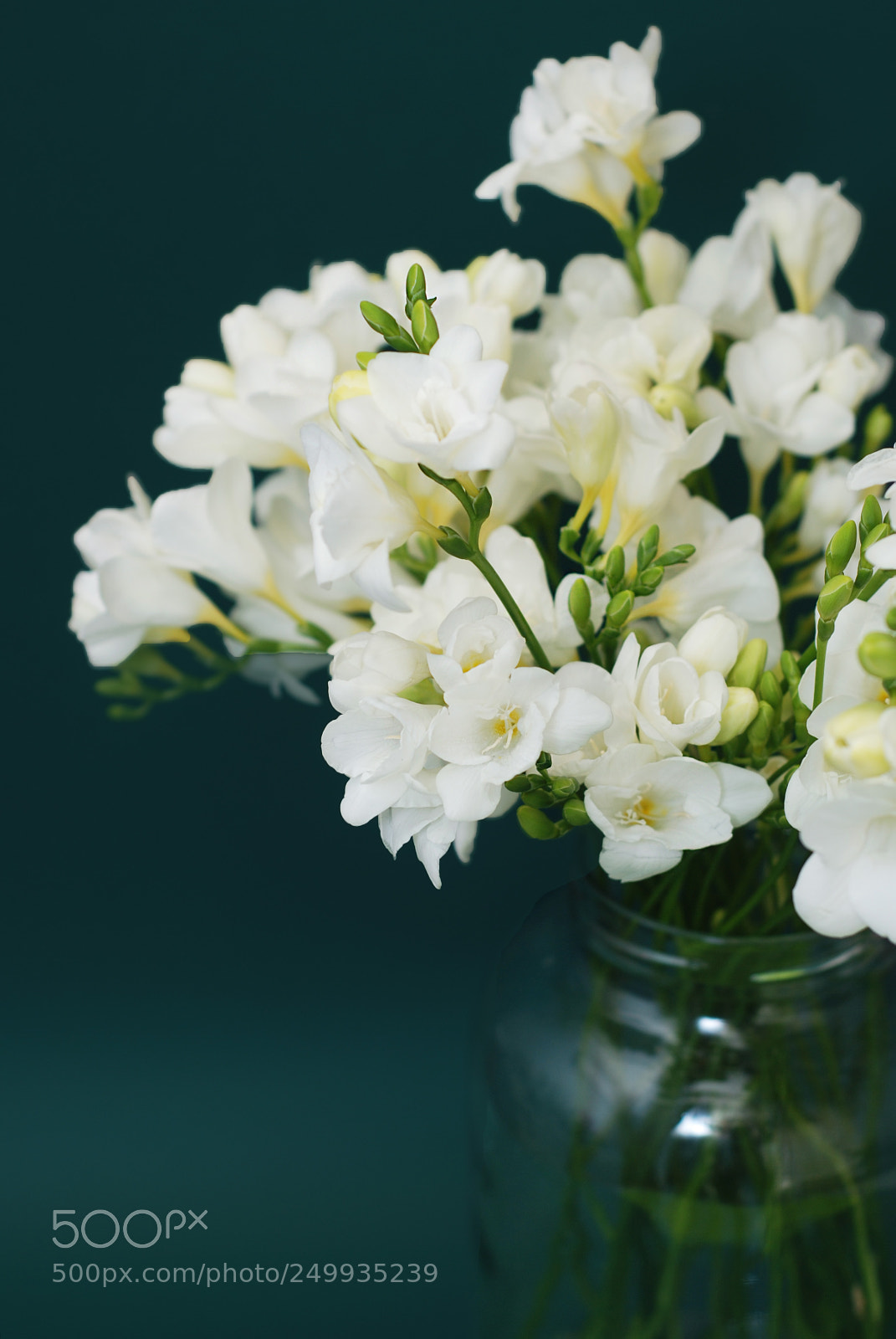 Nikon D80 sample photo. White freesia bouquet of photography
