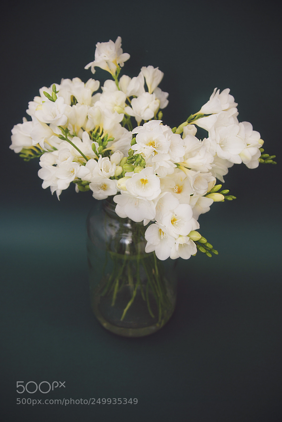 Nikon D80 sample photo. Vintage white freesia bouquet photography