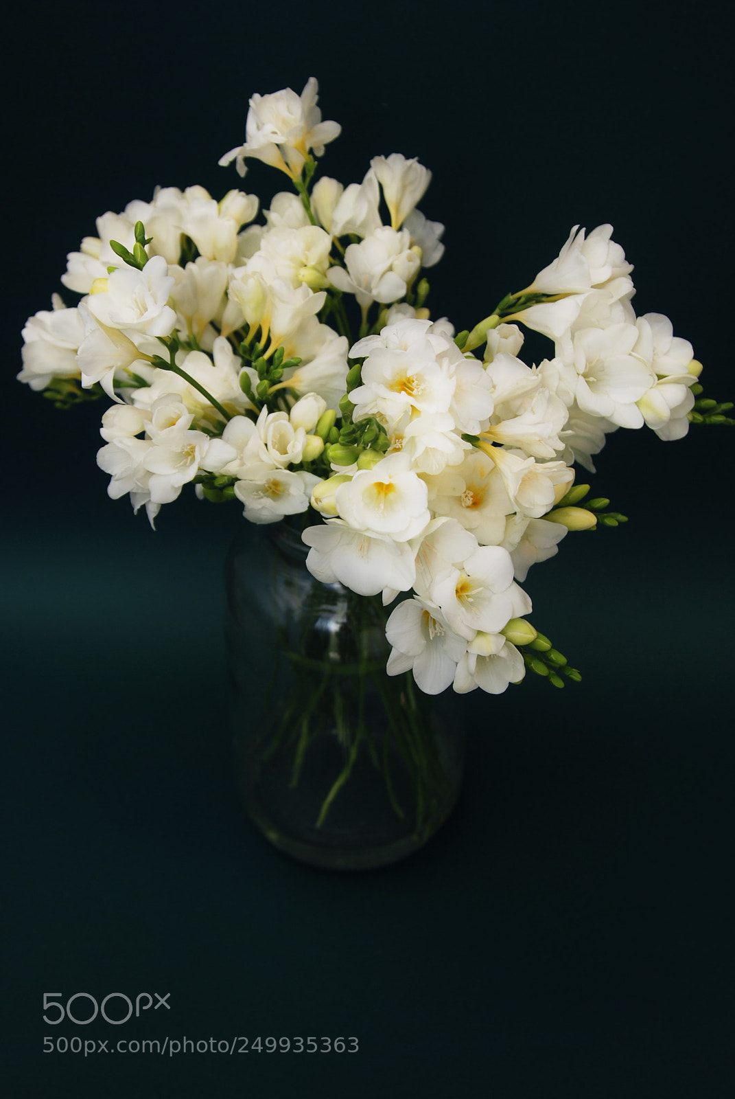 Nikon D80 sample photo. White freesia bouquet of photography