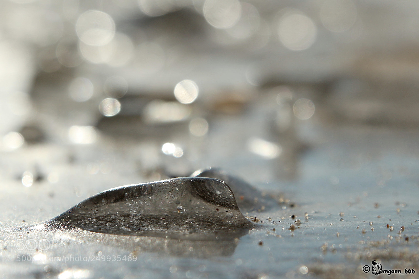 Canon EOS 650D (EOS Rebel T4i / EOS Kiss X6i) sample photo. Cold as ice photography