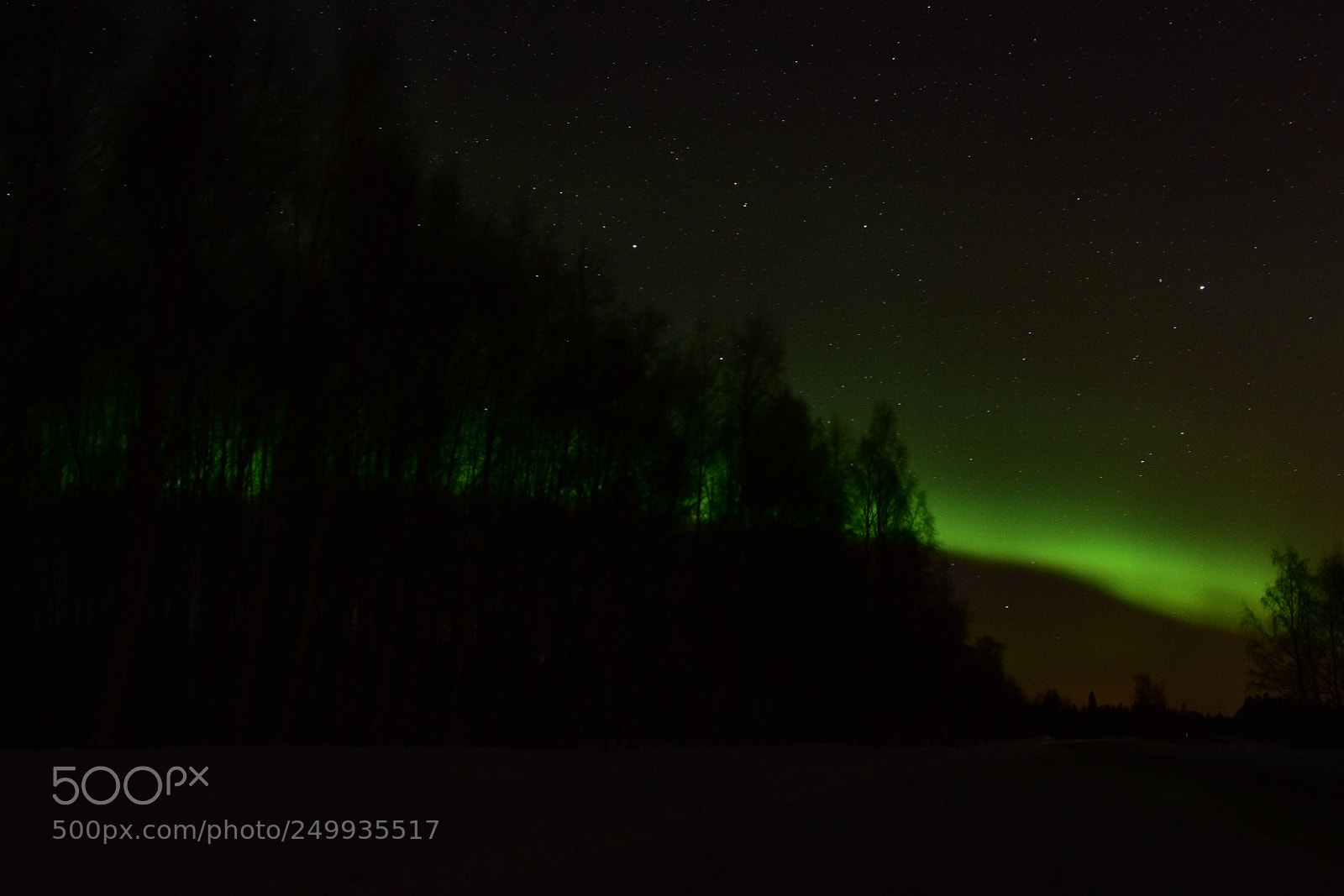 Nikon D7200 sample photo. Green day photography
