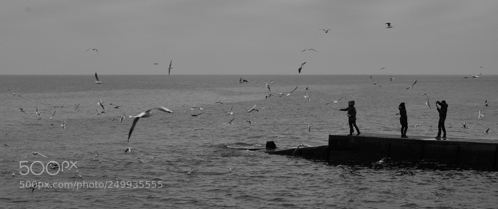 Nikon D90 sample photo. Winter and sea photography