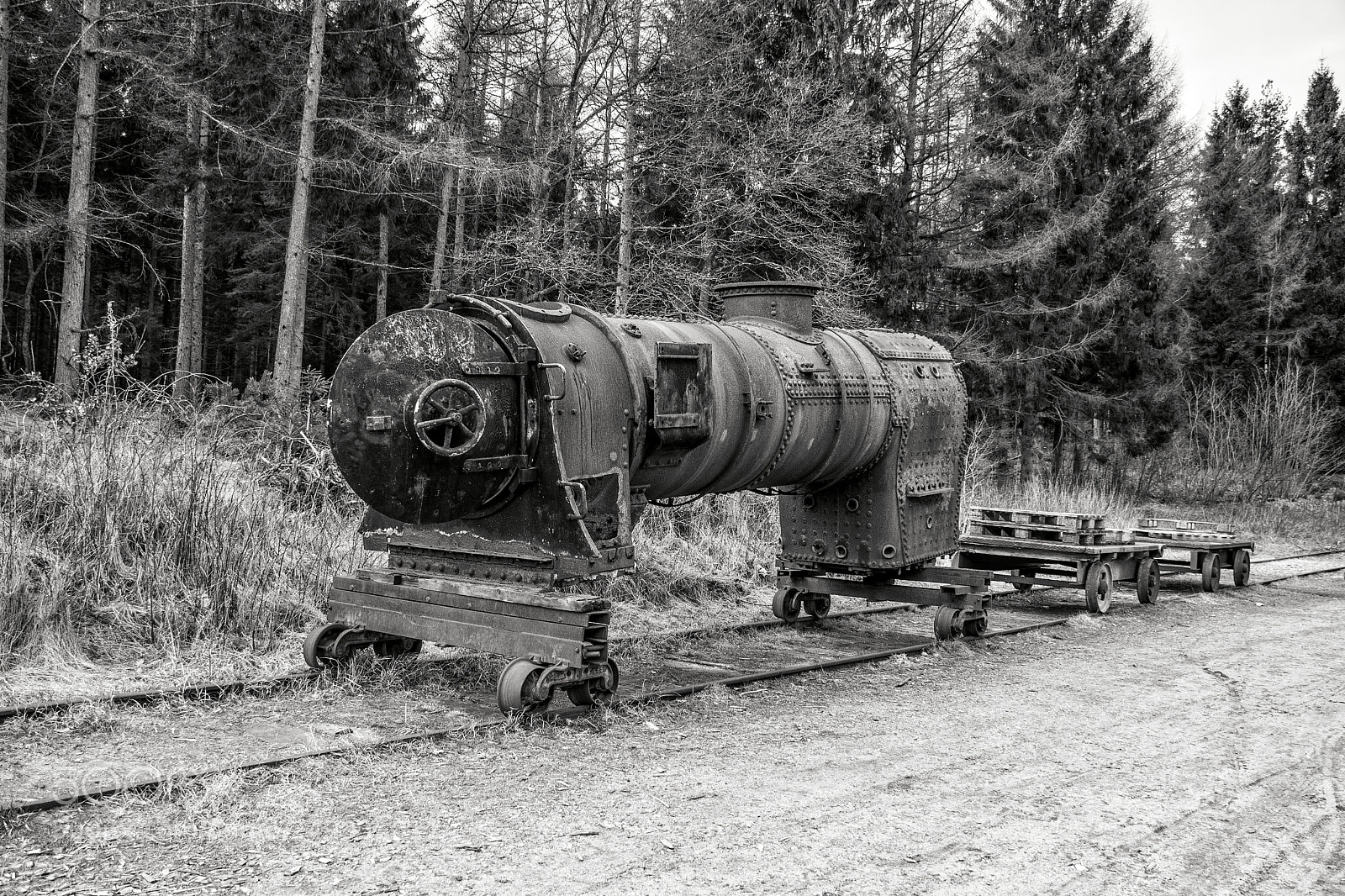 Nikon D5600 sample photo. Abandoned train kettle 2 photography