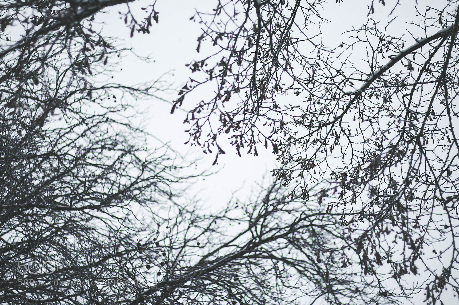 Canon EOS 70D sample photo. Grey photography