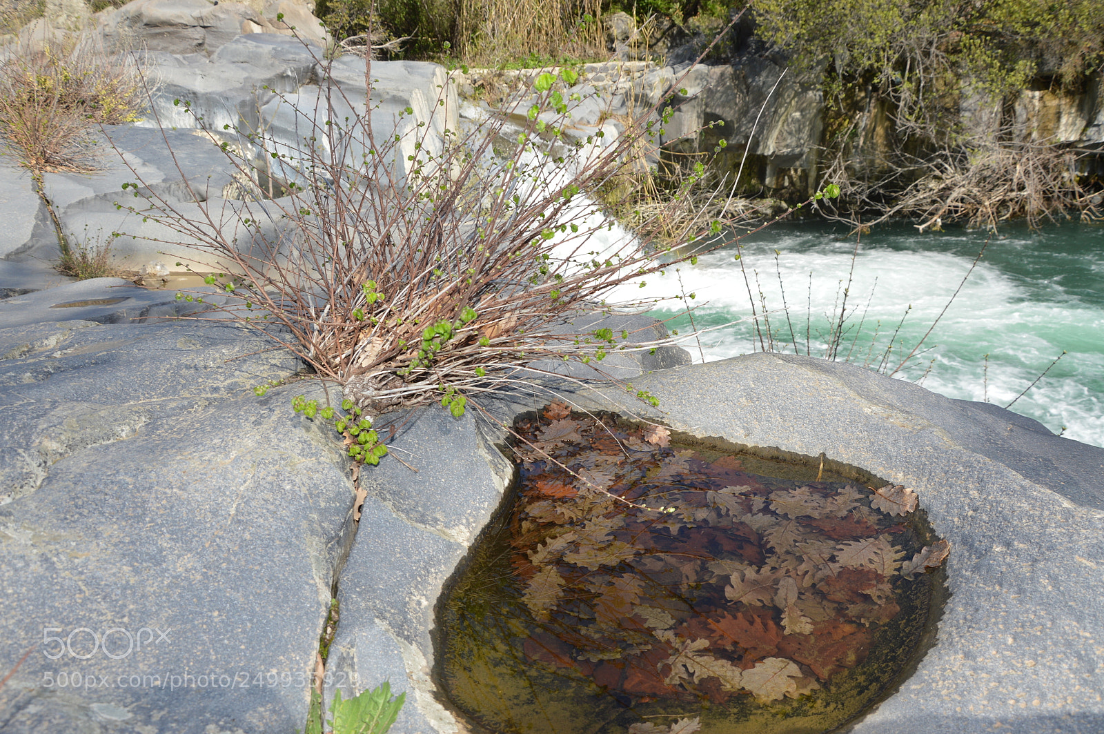 Nikon D3200 sample photo. Untitled photography