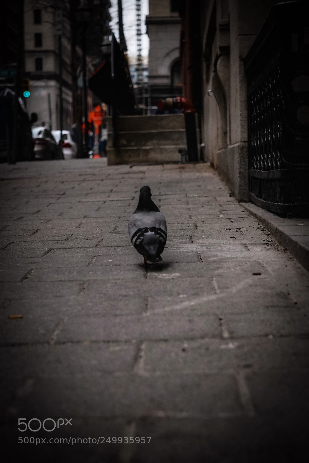 Sony a7 sample photo. Untitled photography
