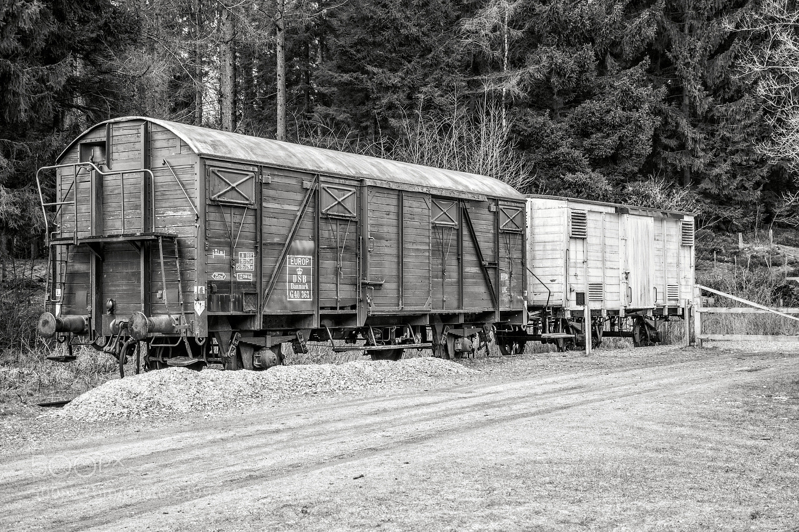 Nikon D5600 sample photo. Abandoned train wagons photography