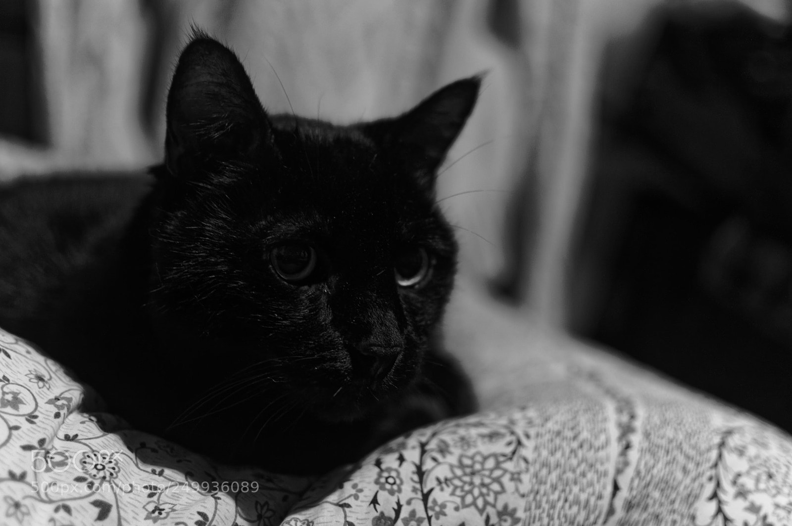 Nikon D3200 + Nikon AF-S DX Nikkor 35mm F1.8G sample photo. Old friend photography