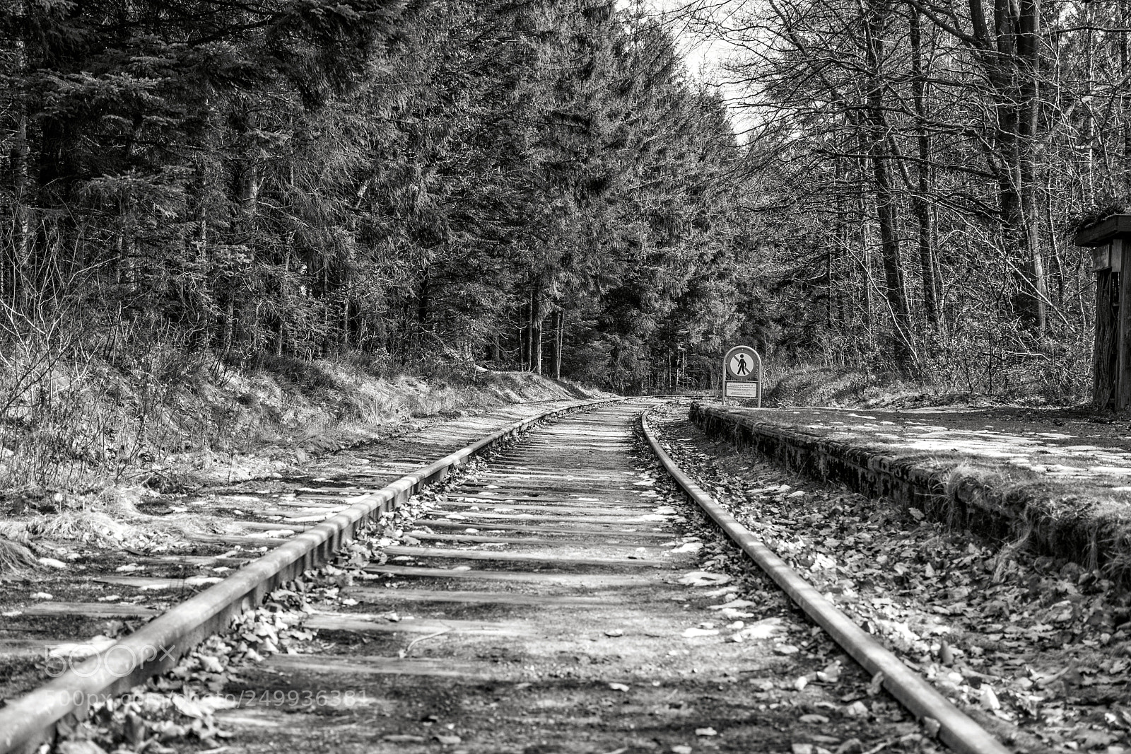 Nikon D5600 sample photo. Old railway photography