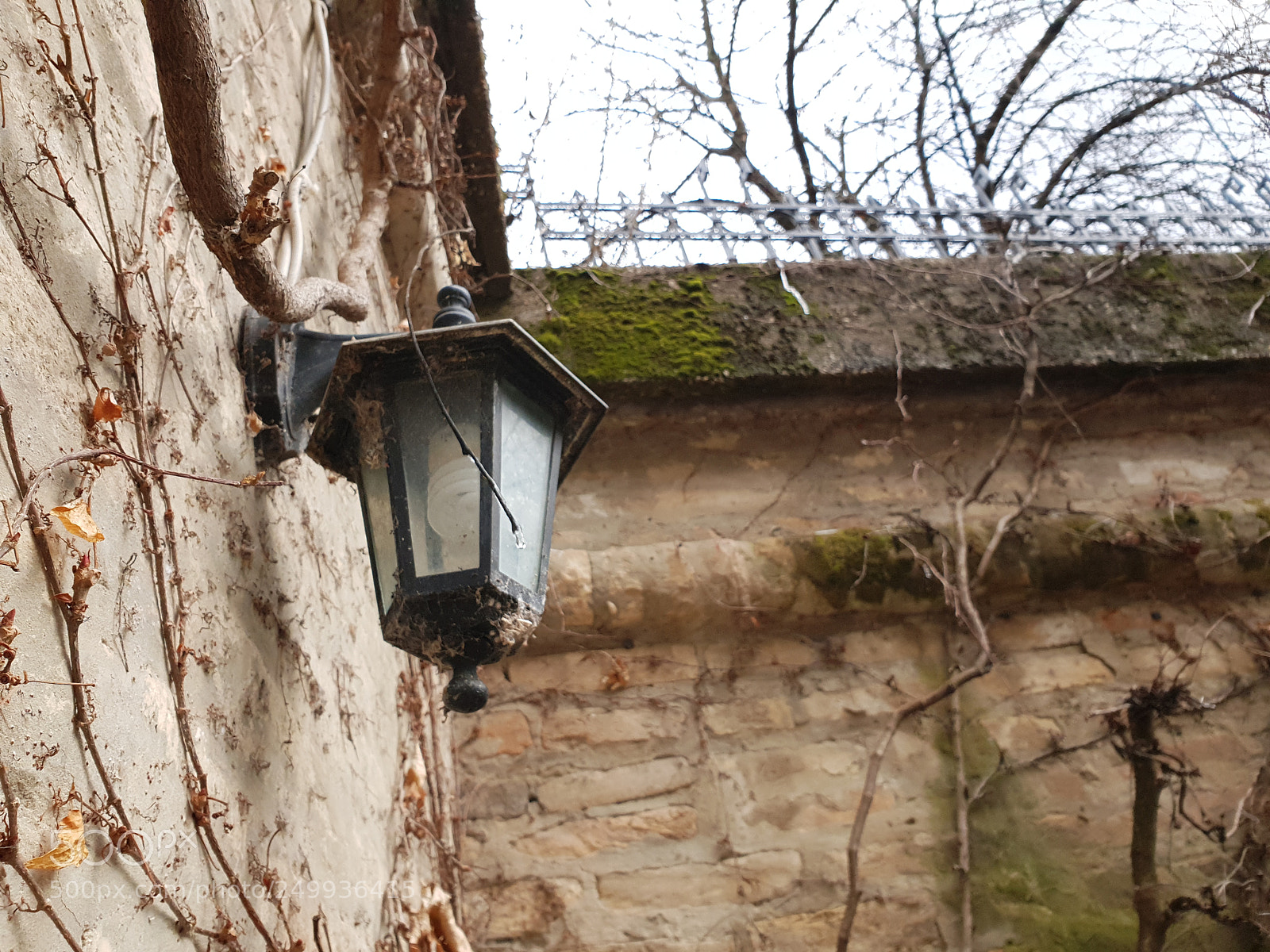 Samsung Galaxy S9+ sample photo. Photo shooting with samsung photography