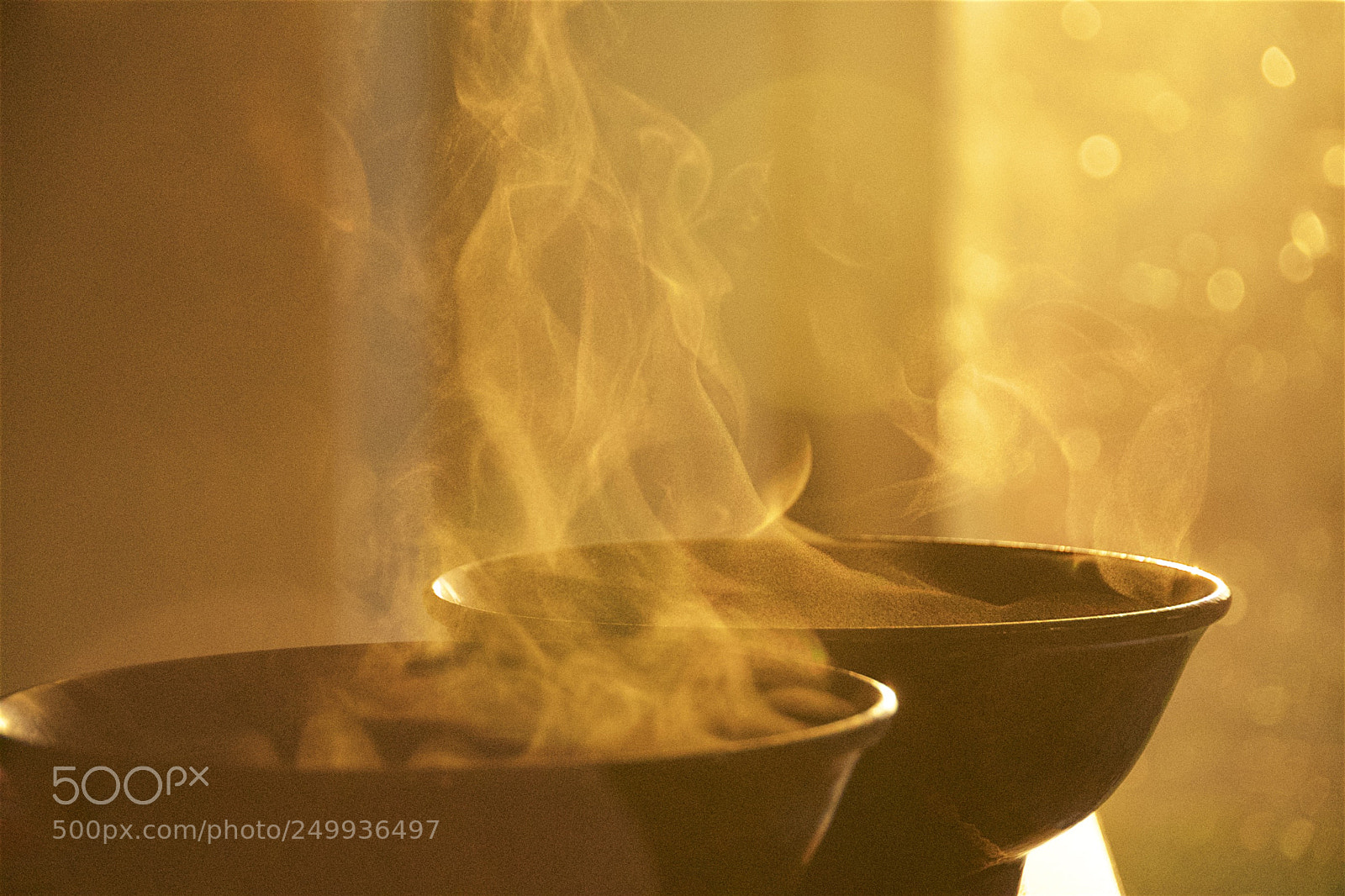 Nikon D500 sample photo. Steaming photography