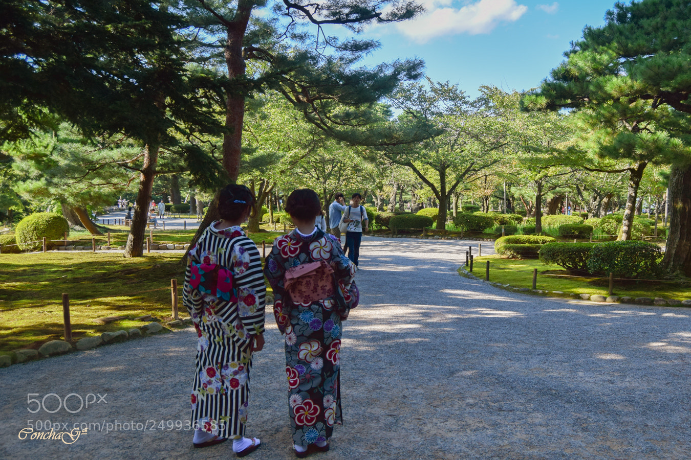 Nikon D3300 sample photo. 163_0399.jpg photography