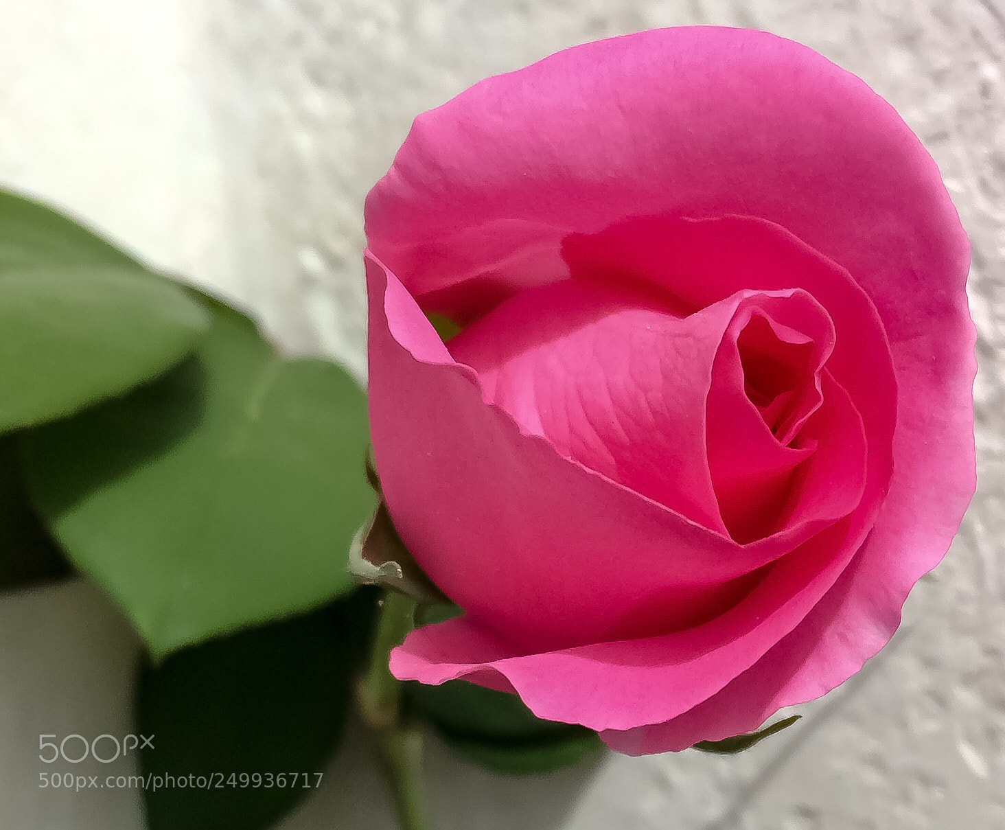 Apple iPhone 5s sample photo. Untitled photography