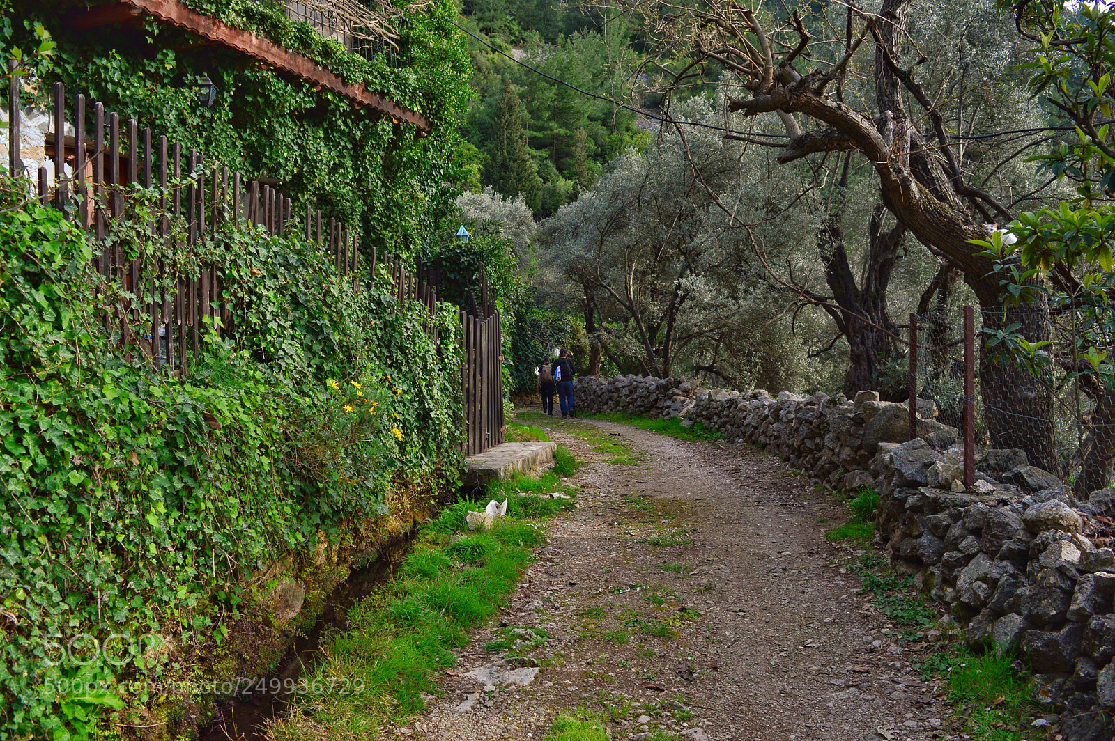 Nikon D3200 sample photo. Lycian way photography