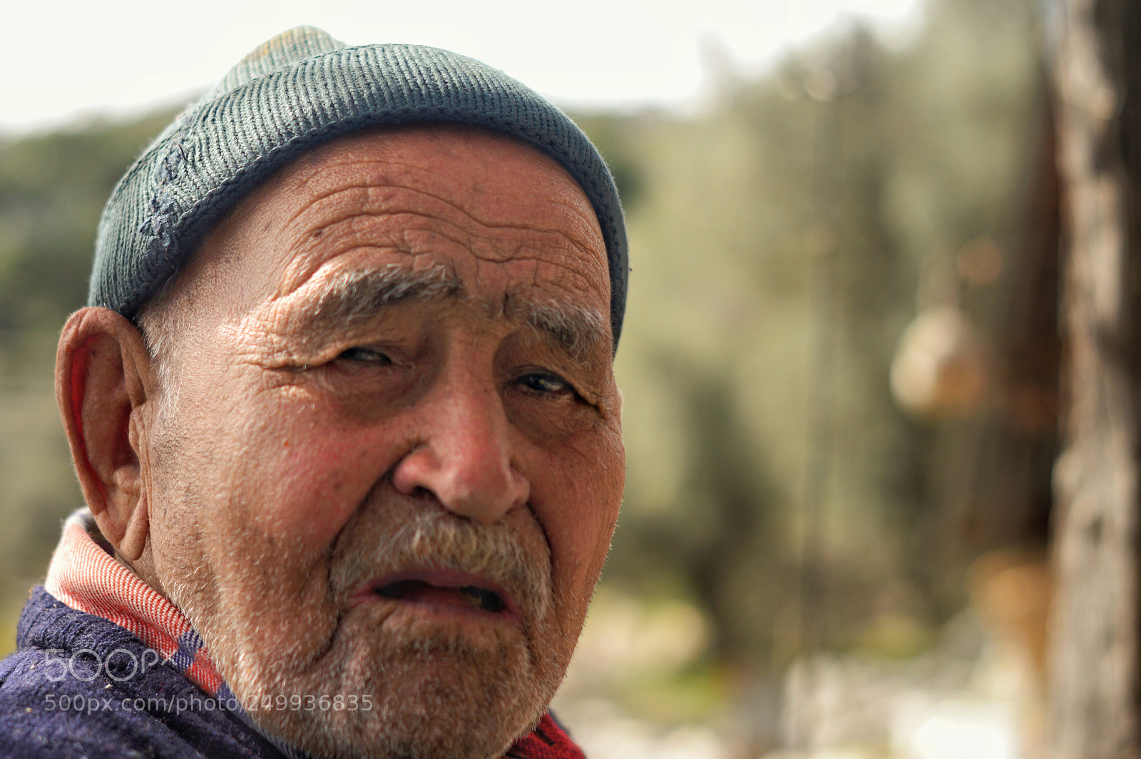 Nikon D3200 sample photo. 96 years photography