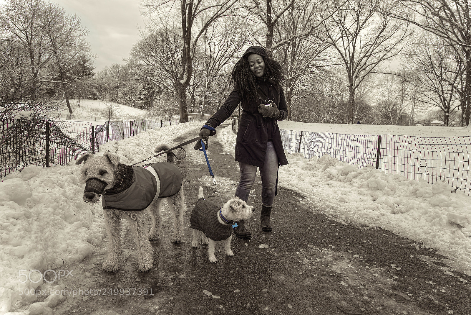 Nikon D800E sample photo. New york minus photography