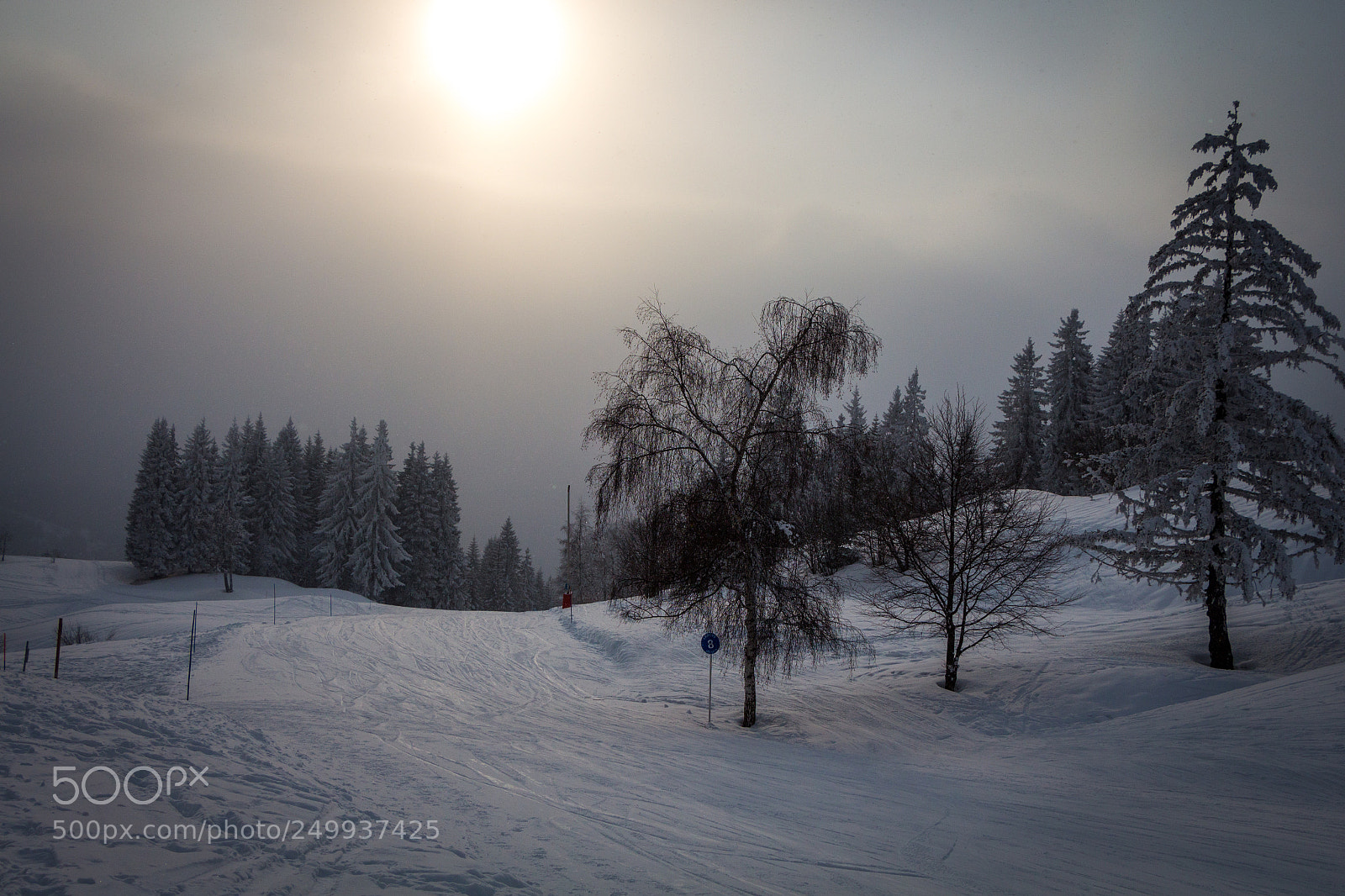 Canon EOS 650D (EOS Rebel T4i / EOS Kiss X6i) sample photo. Snowy sun photography
