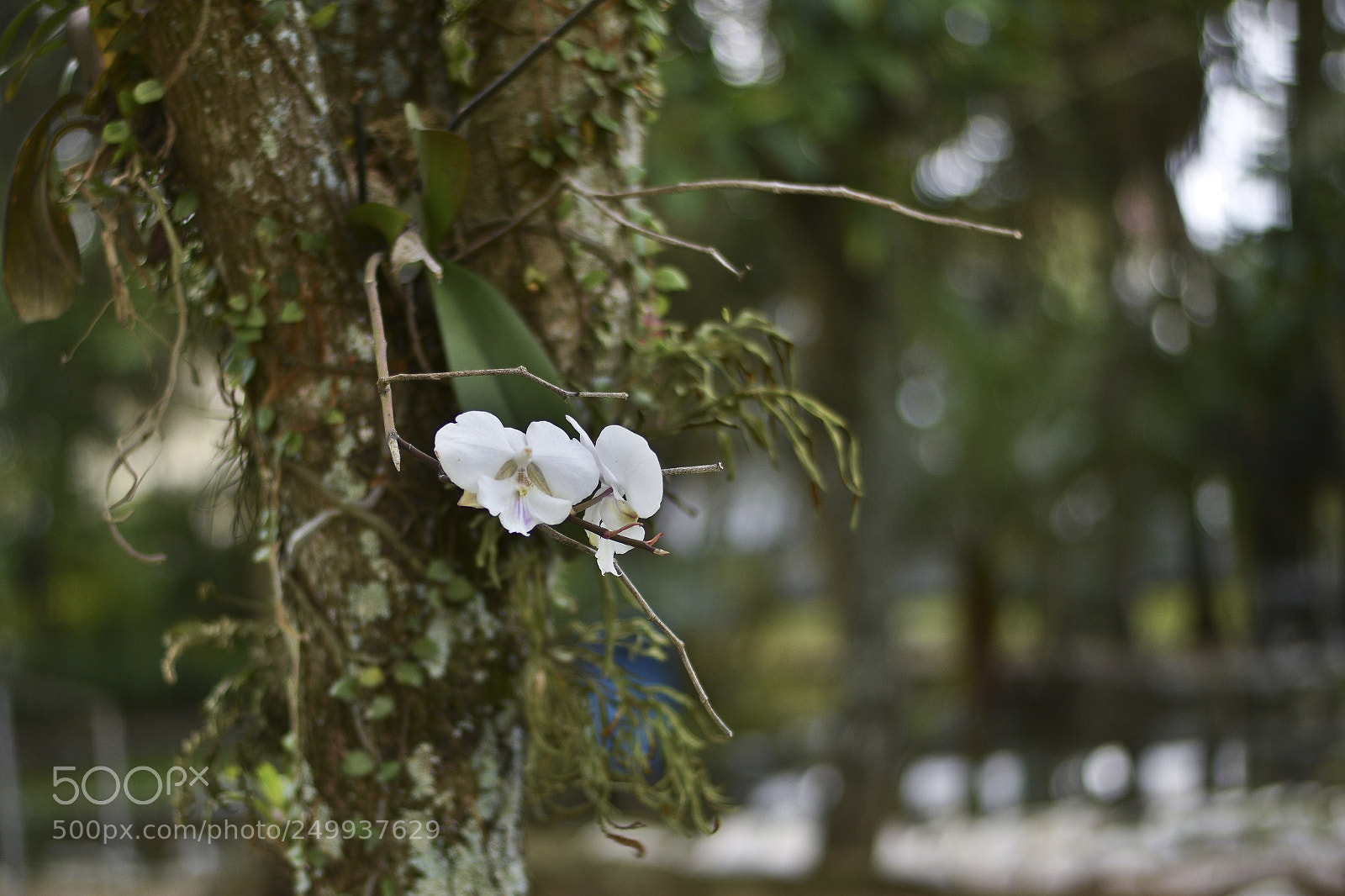 Nikon D5300 sample photo. Untitled photography