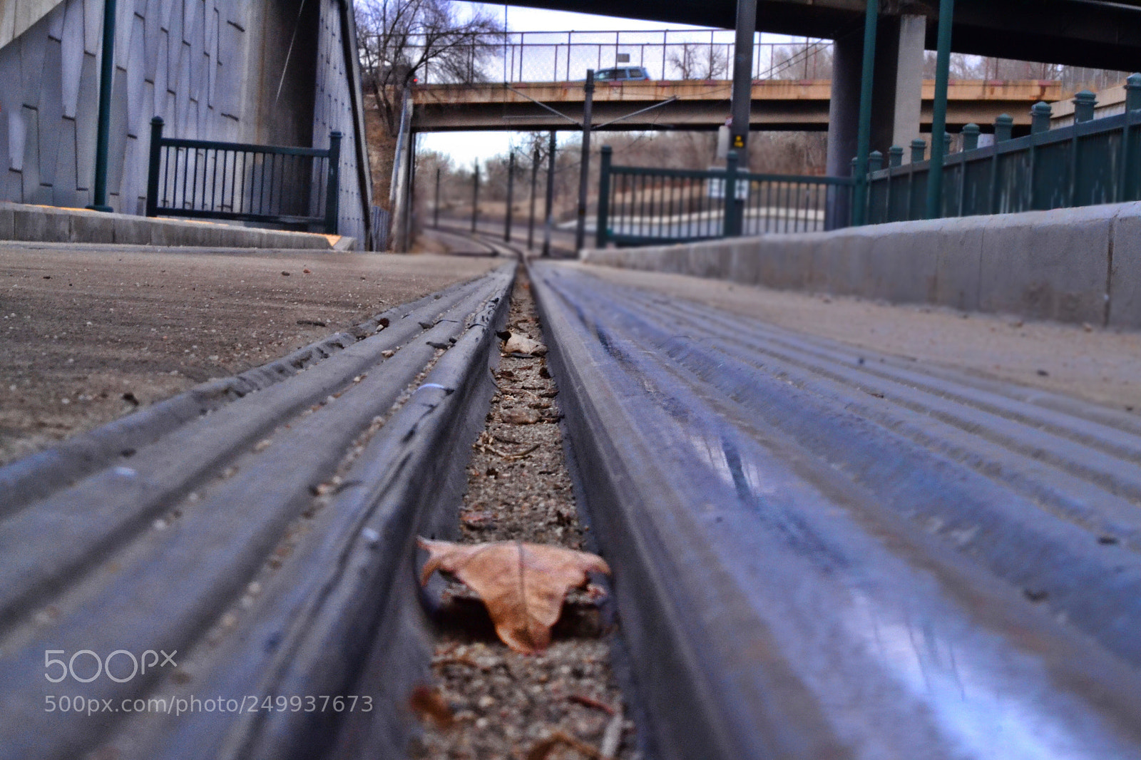 Nikon D3100 sample photo. All on board! photography