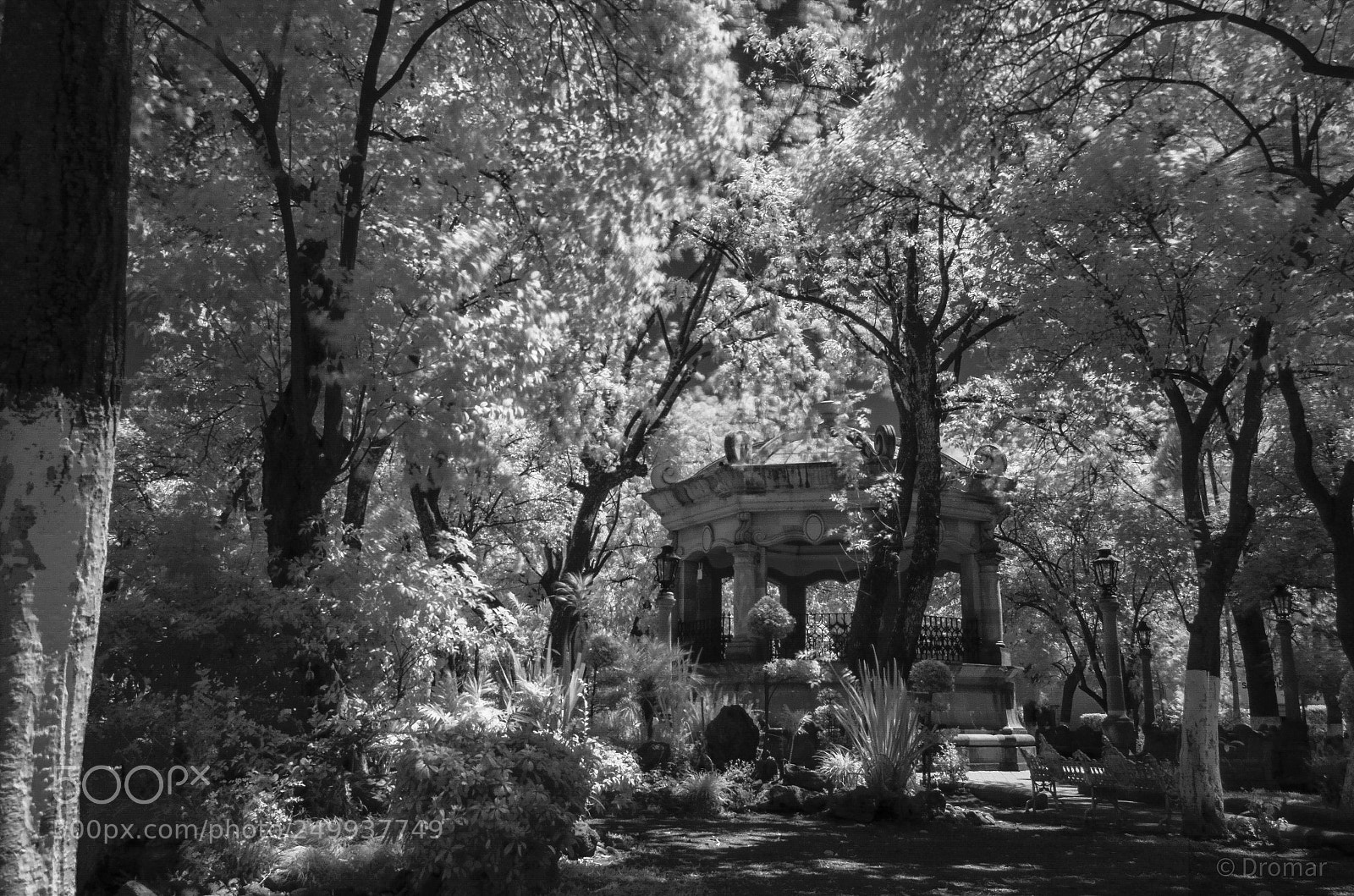 Nikon D7000 sample photo. Untitled photography