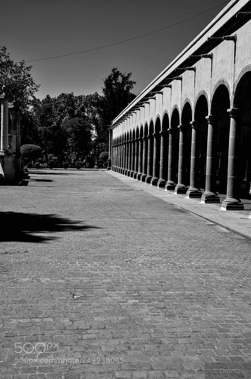 Nikon D7000 sample photo. Untitled photography