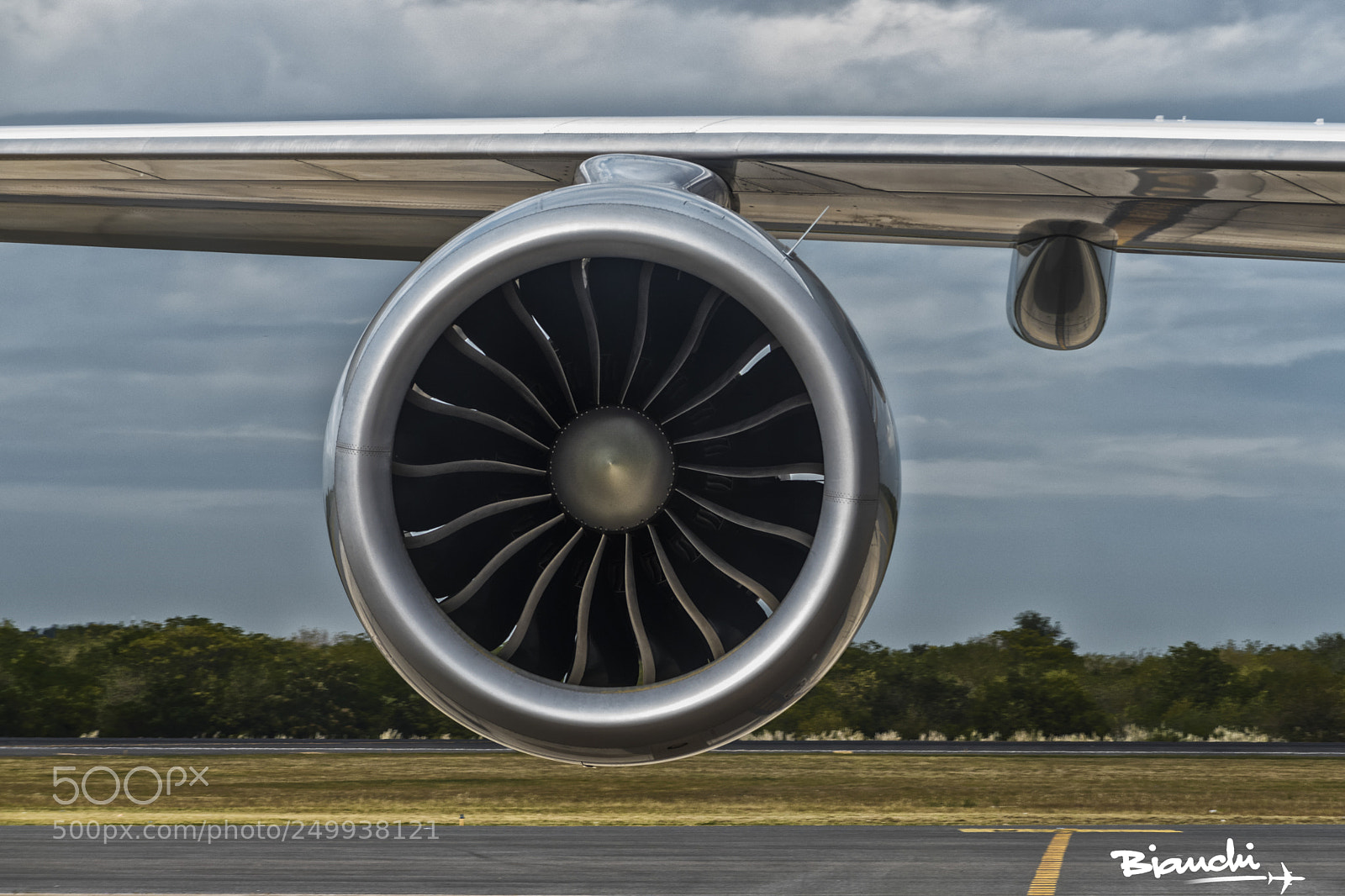 Nikon D5500 sample photo. First spotting day in photography